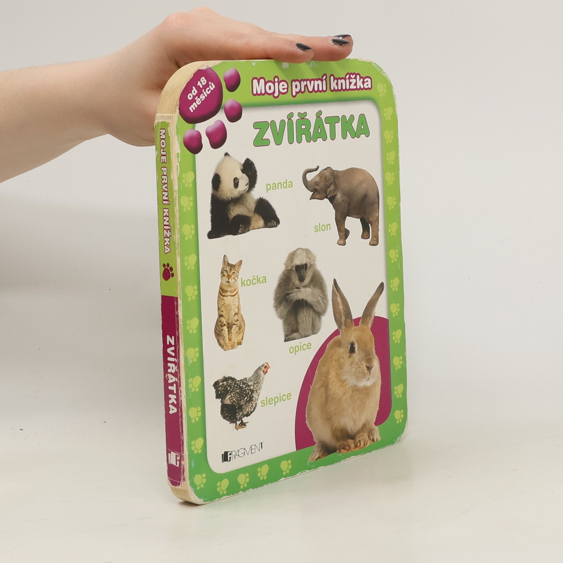 Autorenkollektiv Zvířátka : moje první knížka