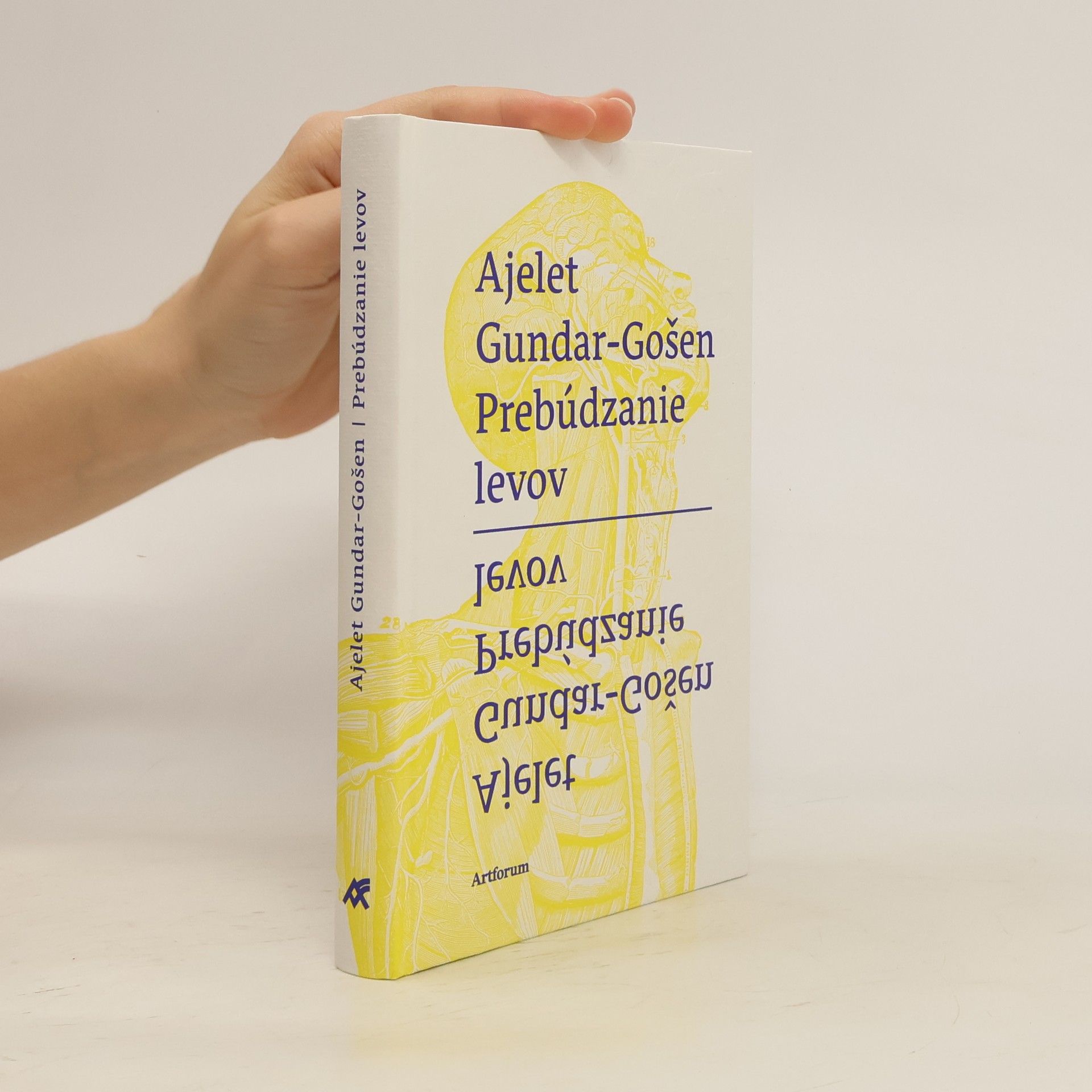 Ayelet Gundar-Goshen Prebúdzanie levov