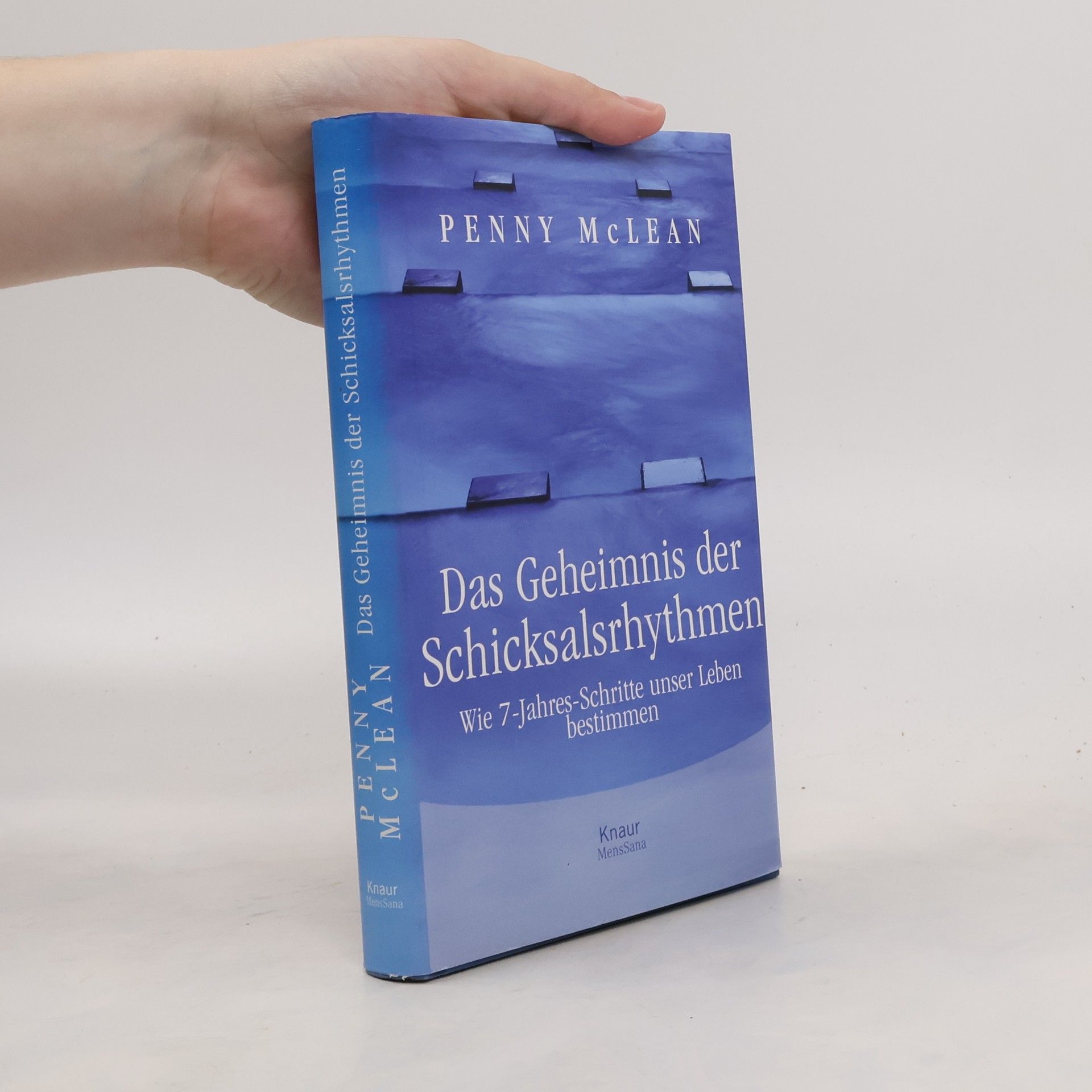 Penny McLean Das Geheimnis der Schicksalsrhythmen