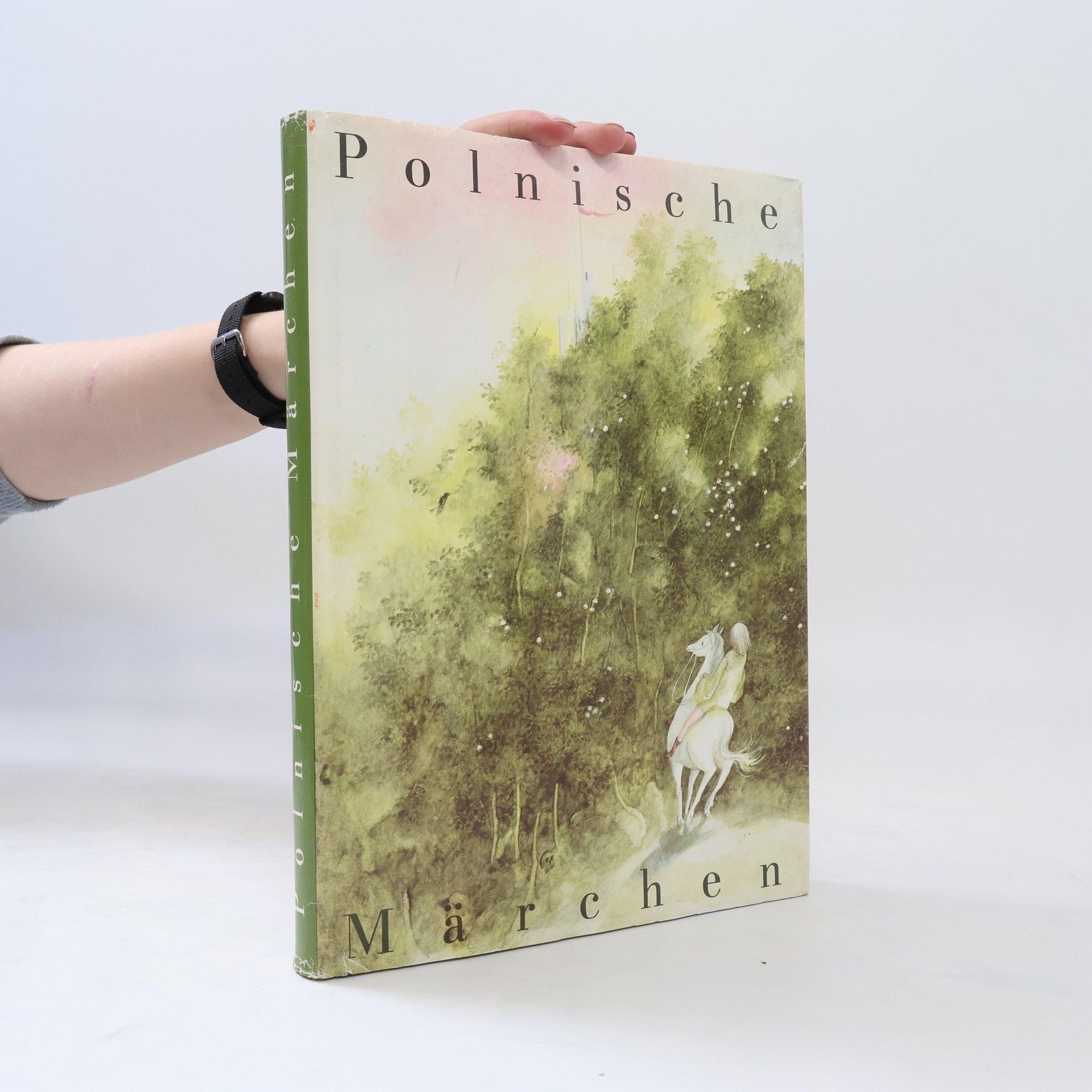 Autores varios Polnische Märchen