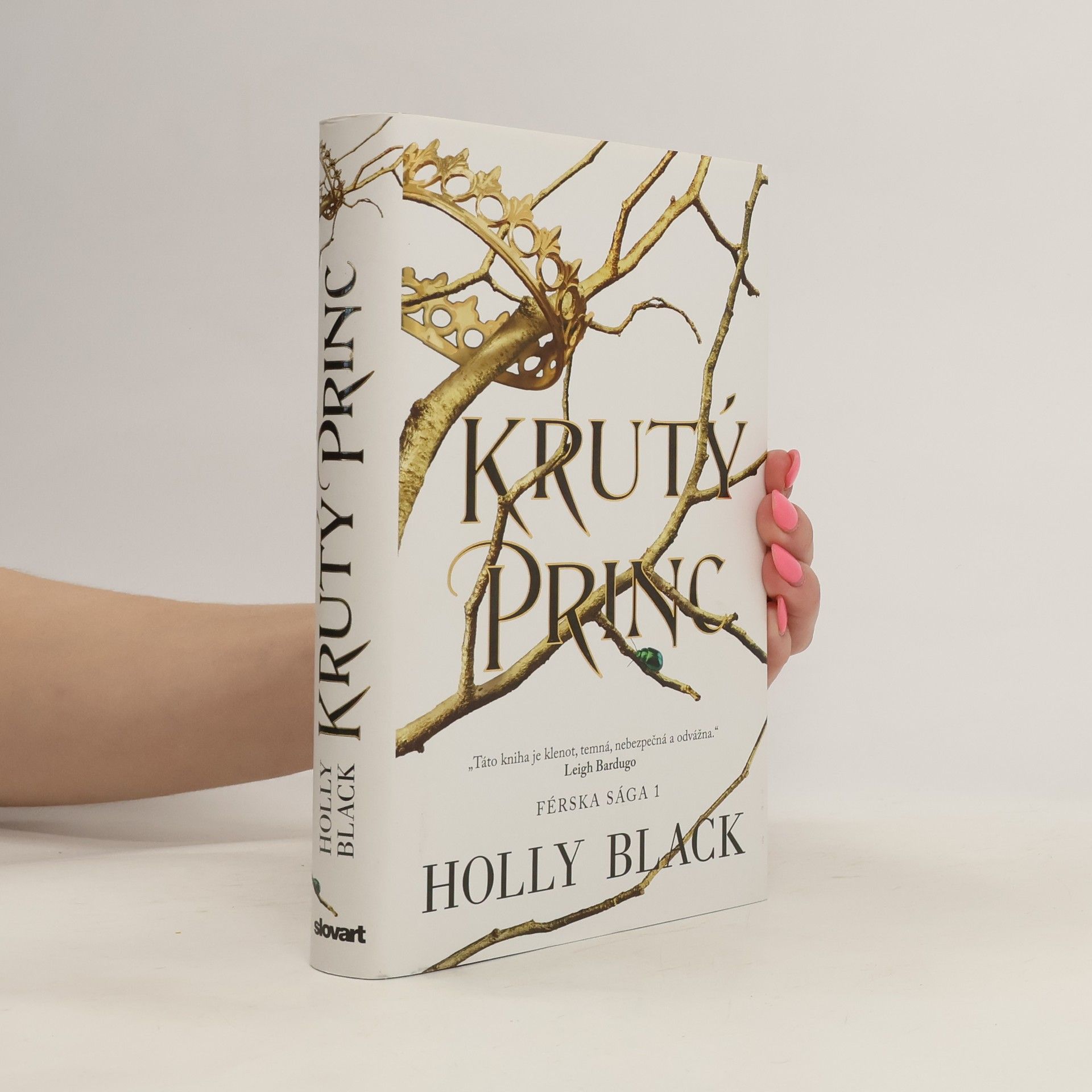 Holly Black Krutý princ