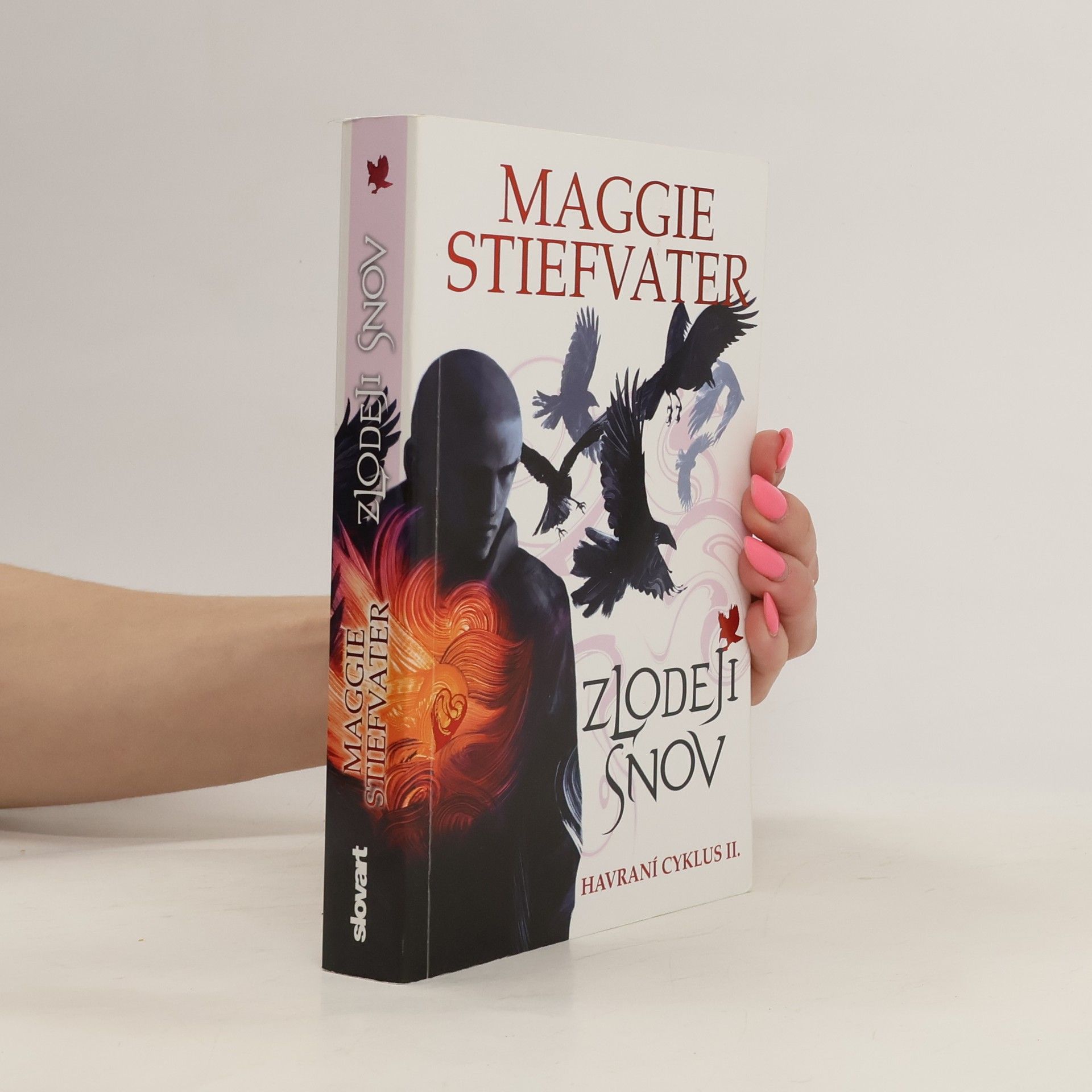 Maggie Stiefvaterová Zlodeji snov