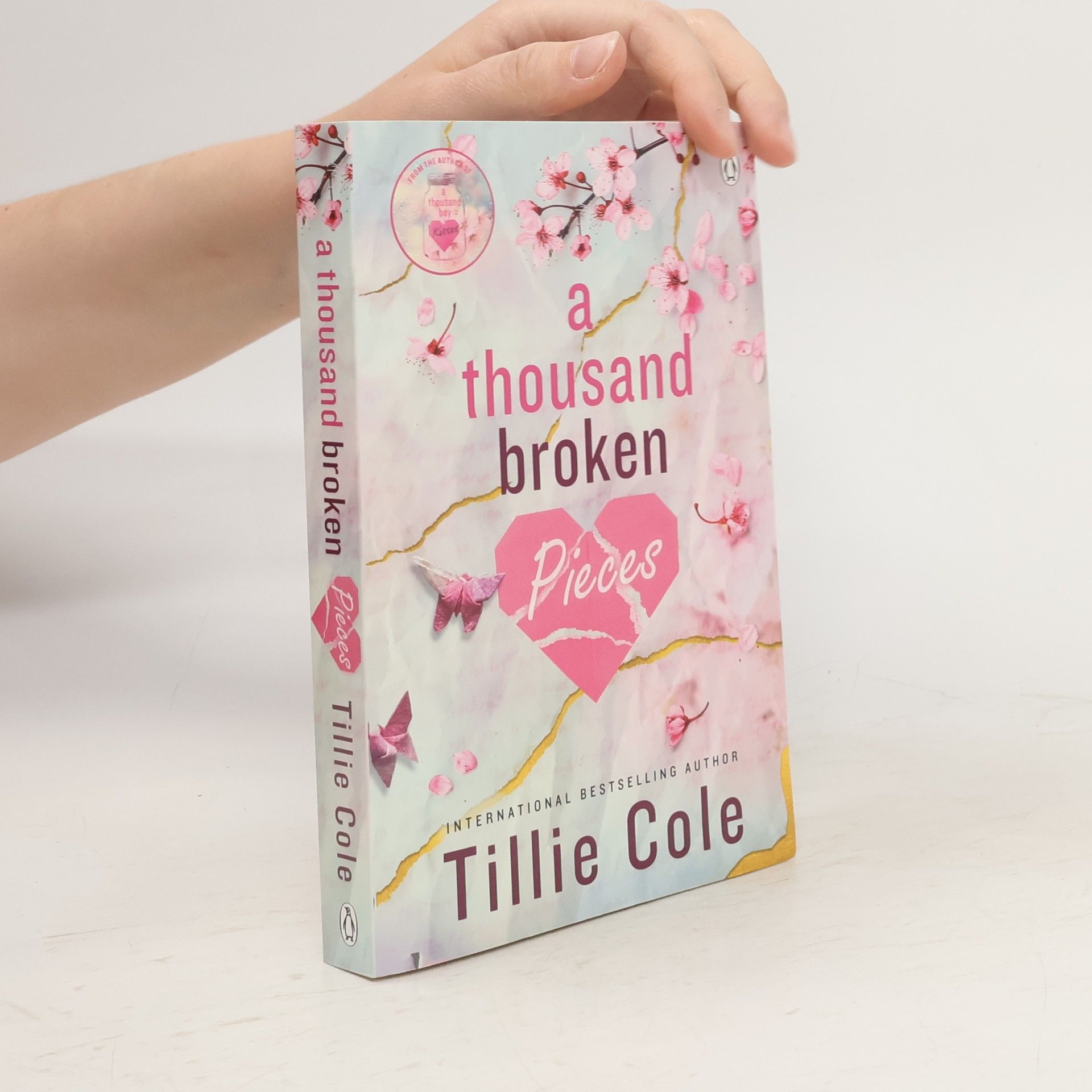 Tillie Cole A Thousand Broken Pieces