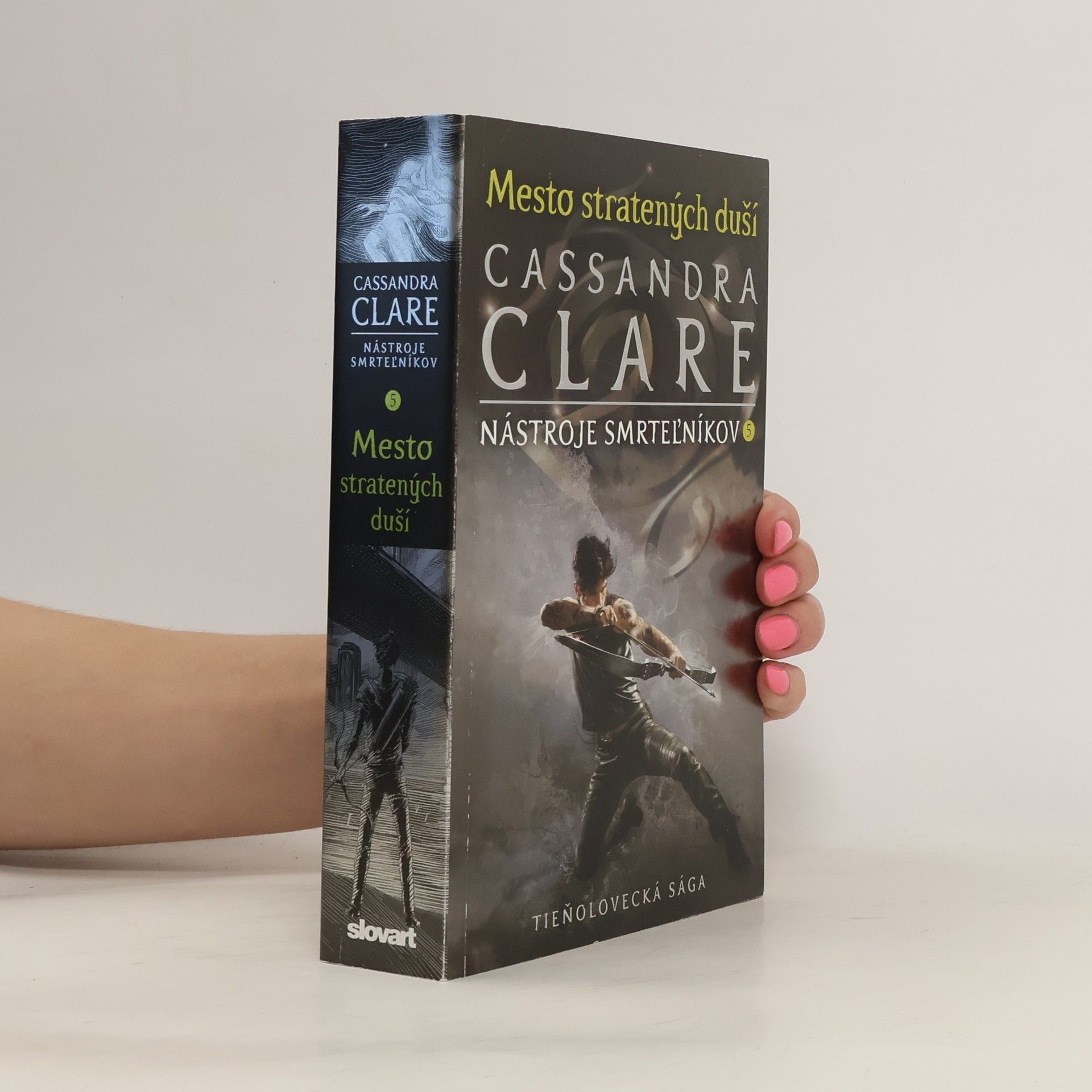Cassandra Clare Mesto stratených duší