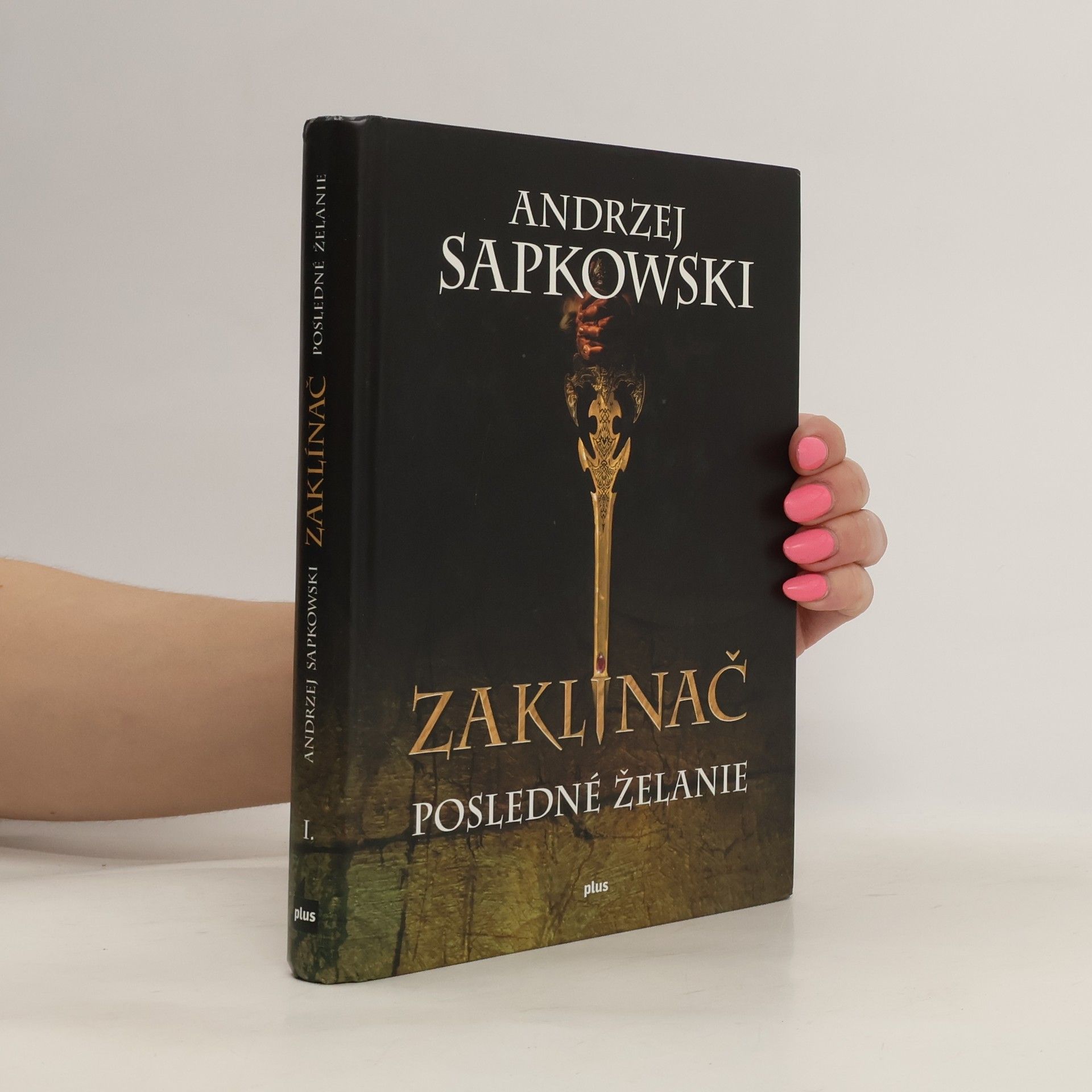 Andrzej Sapkowski Zaklínač. Posledné želanie