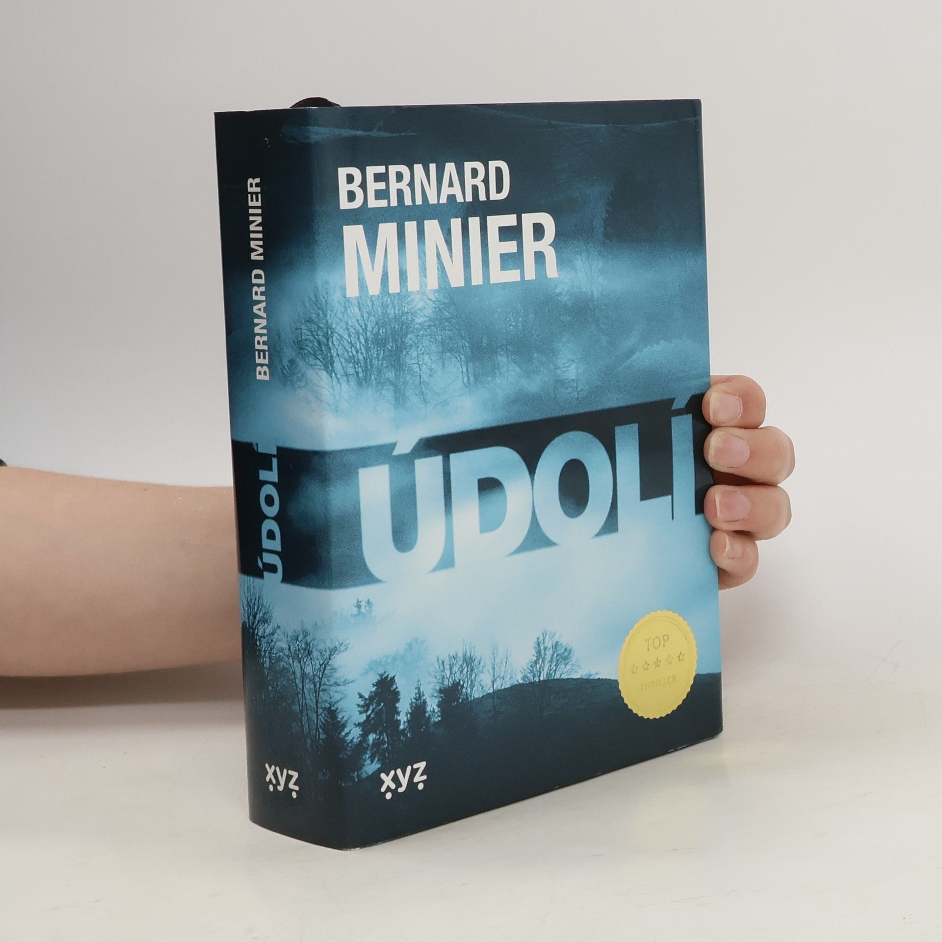 Bernard Minier Údolí