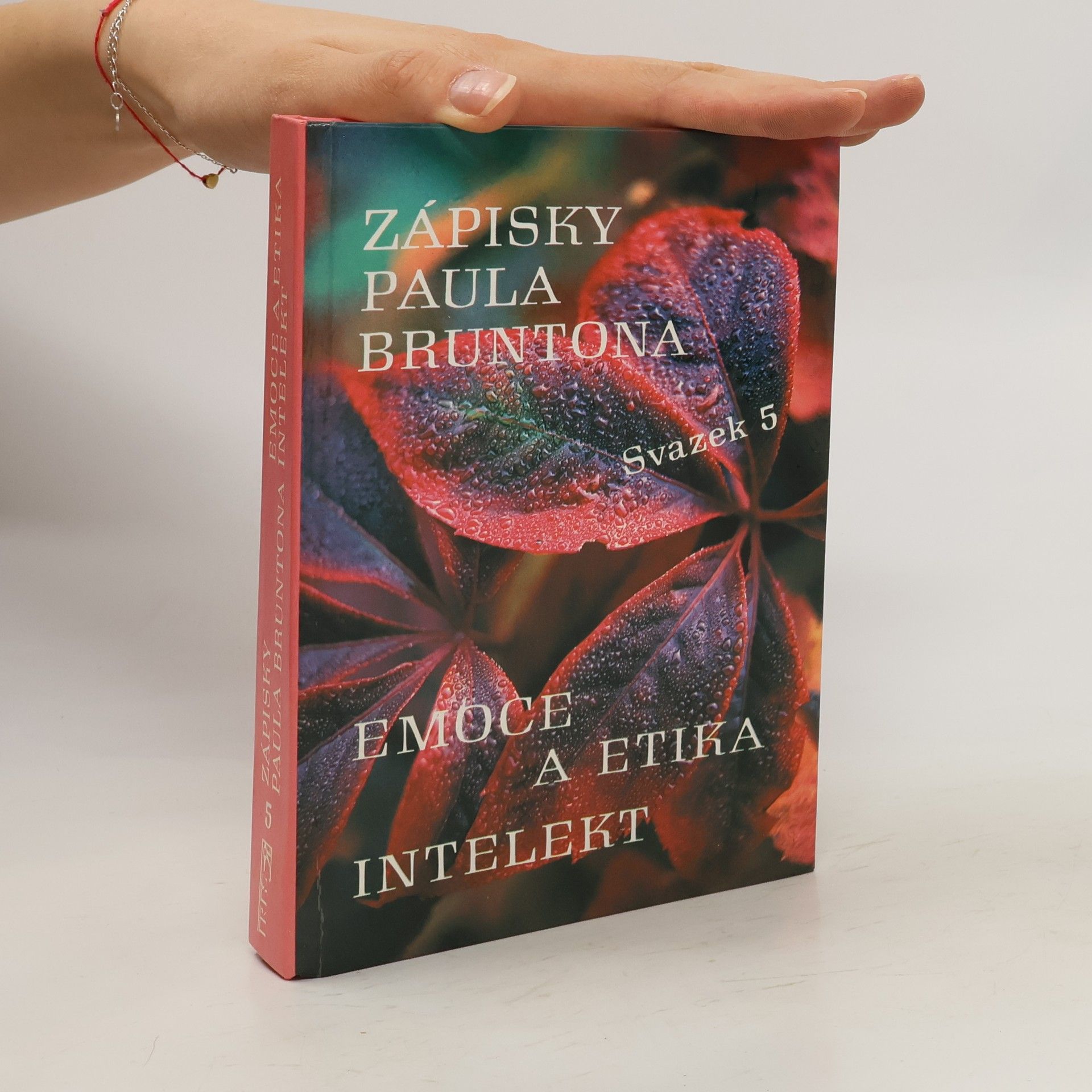 Paul Brunton Zápisky Paula Bruntona. Svazek 5