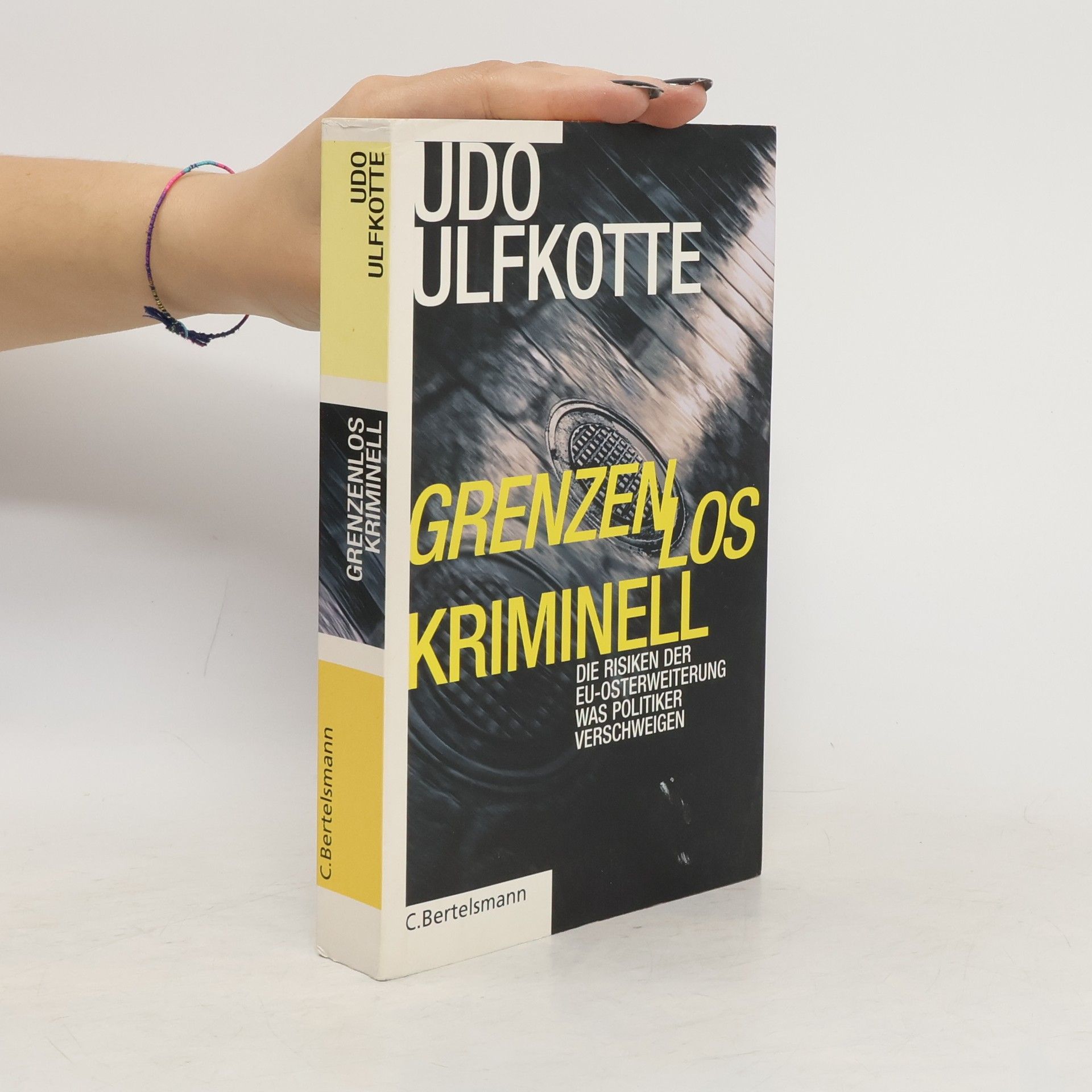 Udo Ulfkotte Grenzenlos kriminell