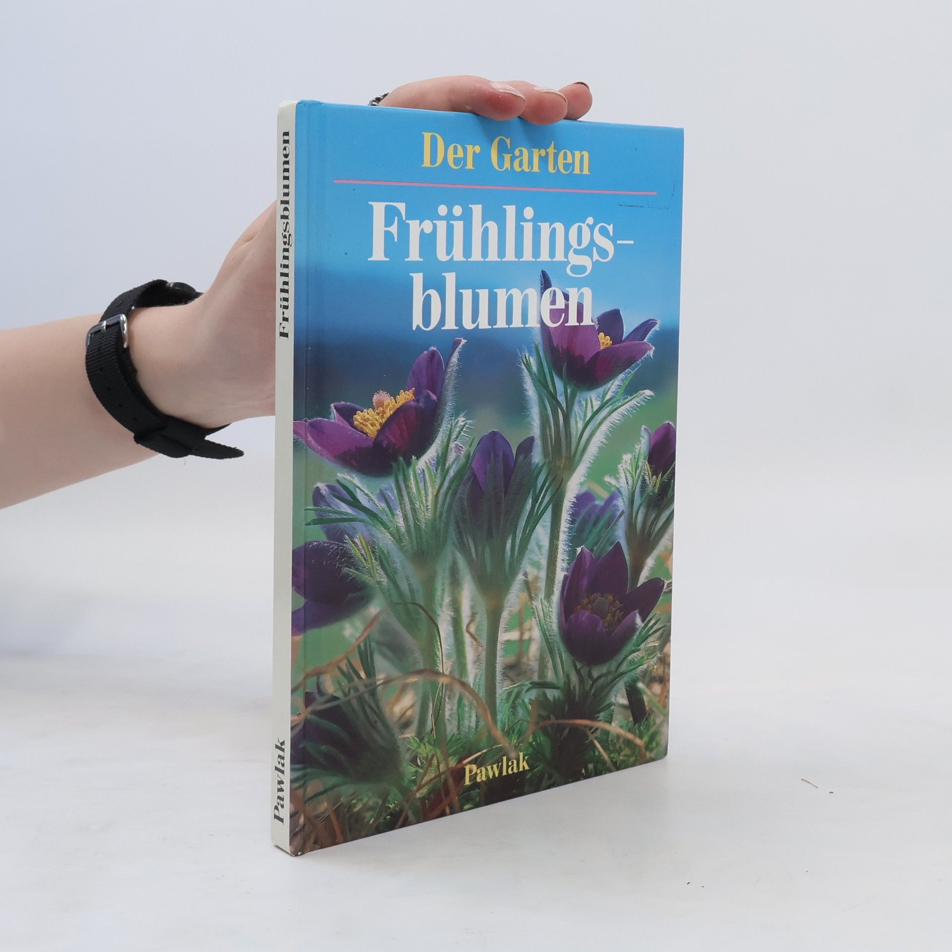 Ute York Frühlingsblumen