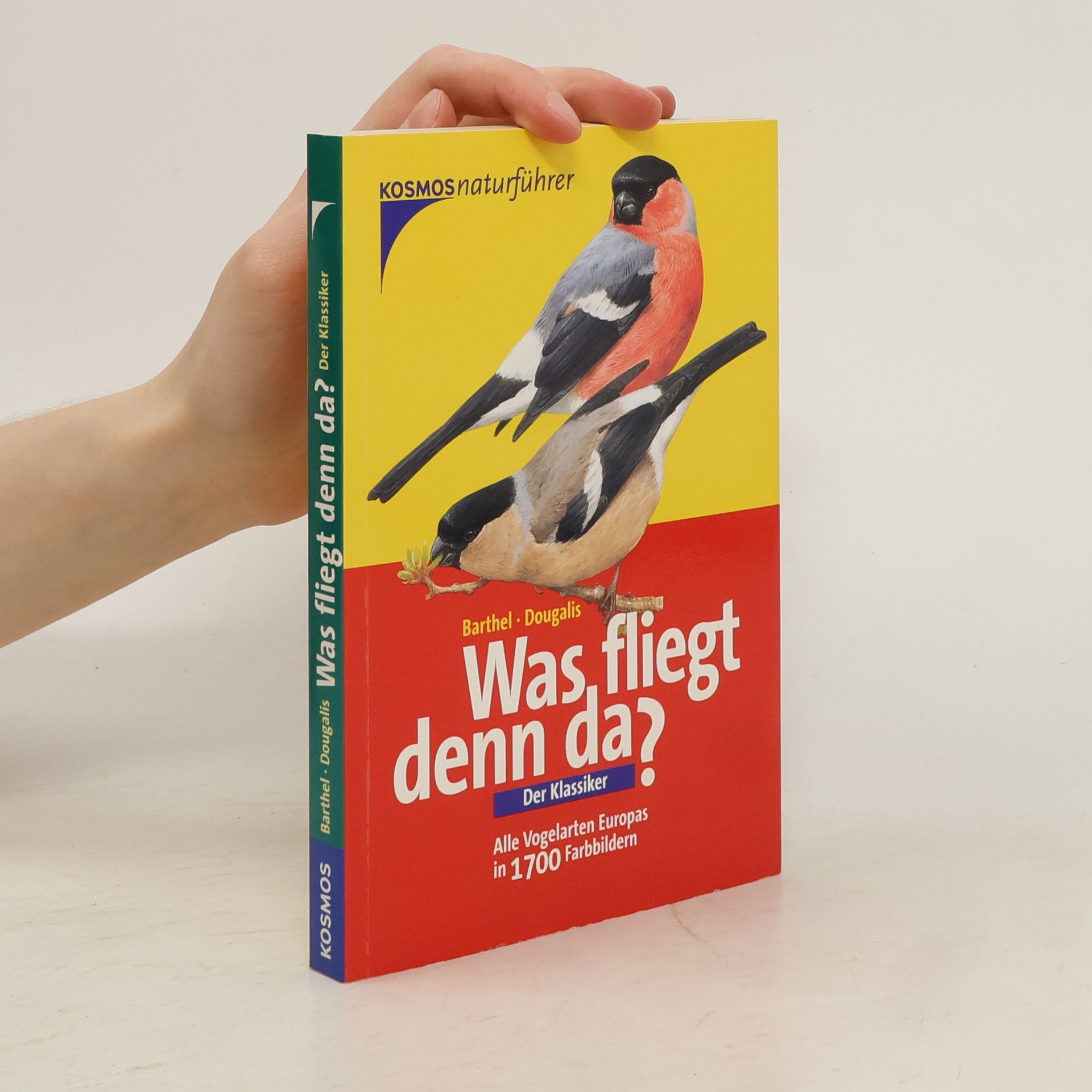P. H. Barthel Was fliegt denn da?