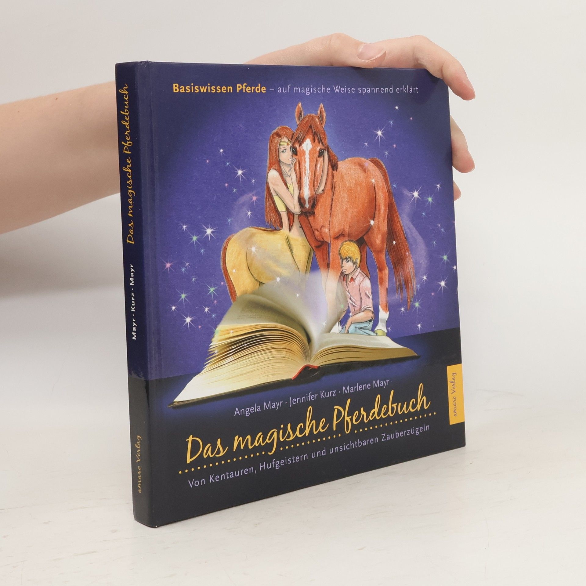 Das magische Pferdebuch. Basiswissen Pferde - auf magische Weise spannend erklärt