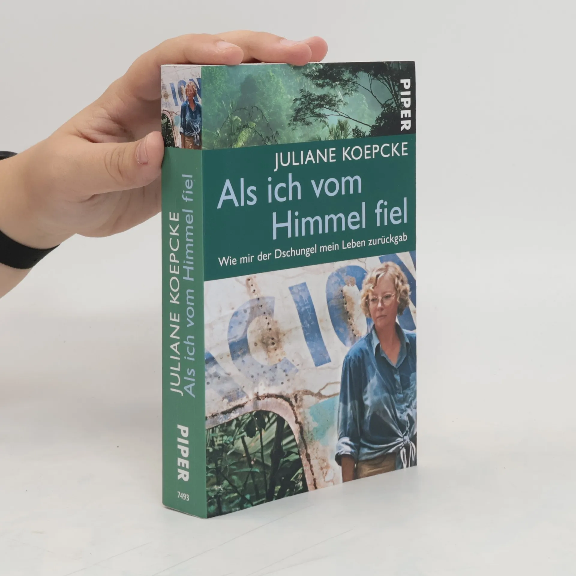 Als ich vom Himmel fiel | Book | Juliane Diller | DE