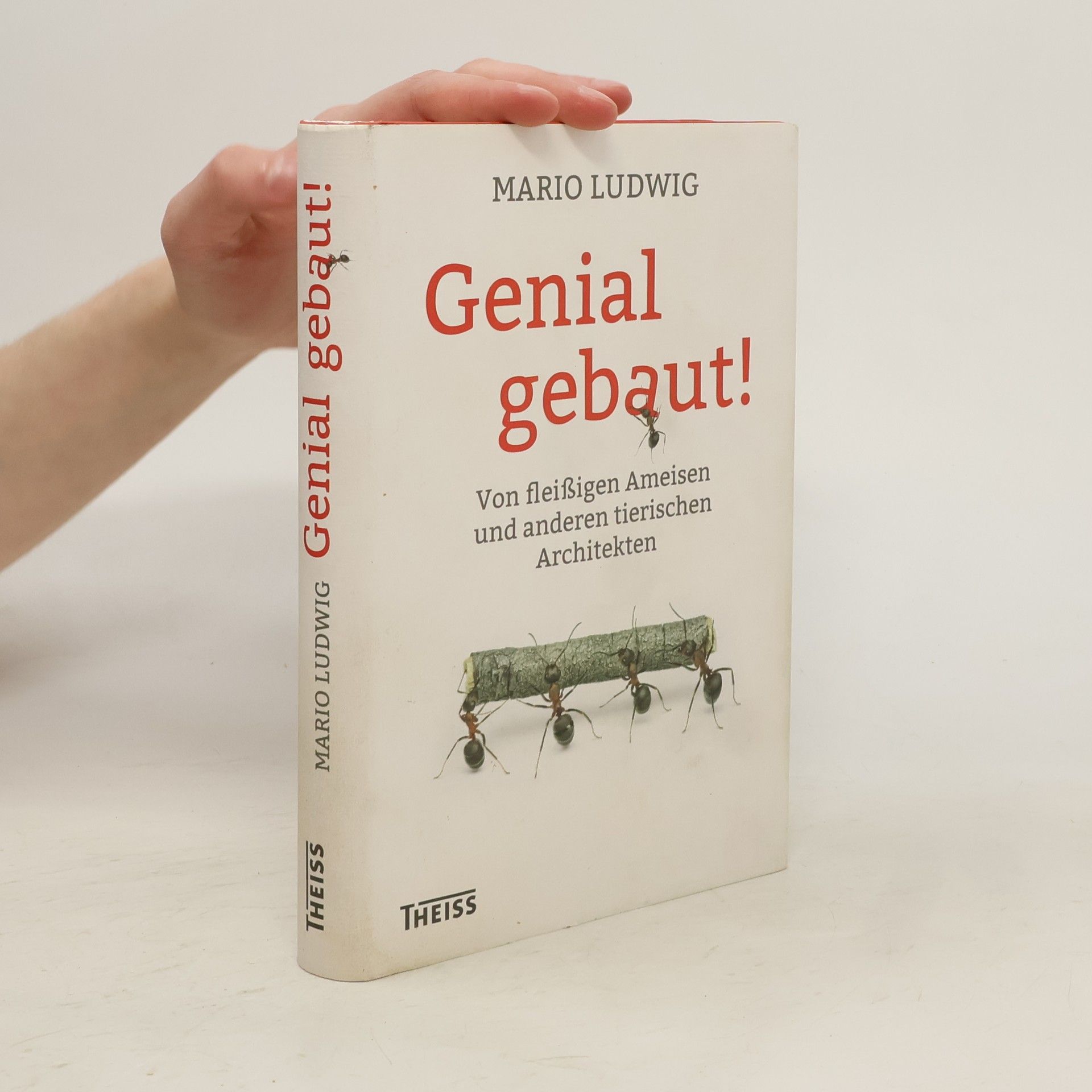 Mario Ludwig Genial gebaut!