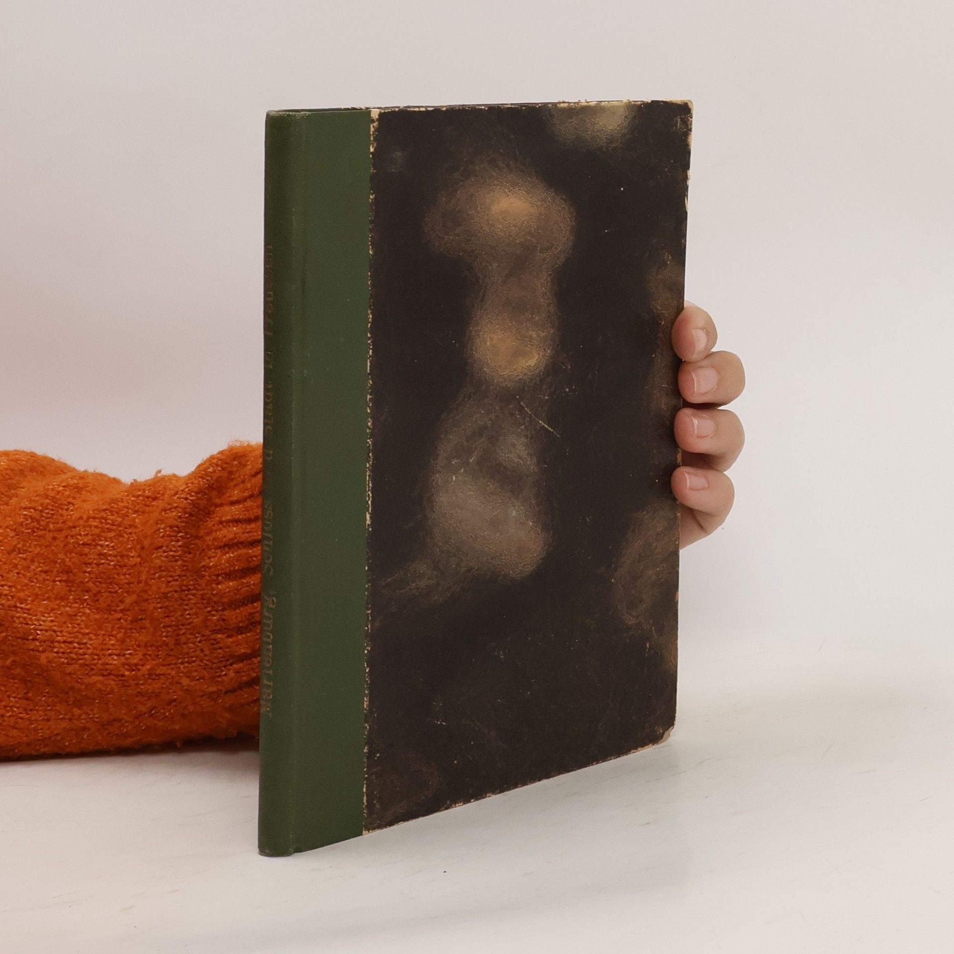 Wilhelm Schwandt Marienburg. Schloß und Stadt in Preßuen