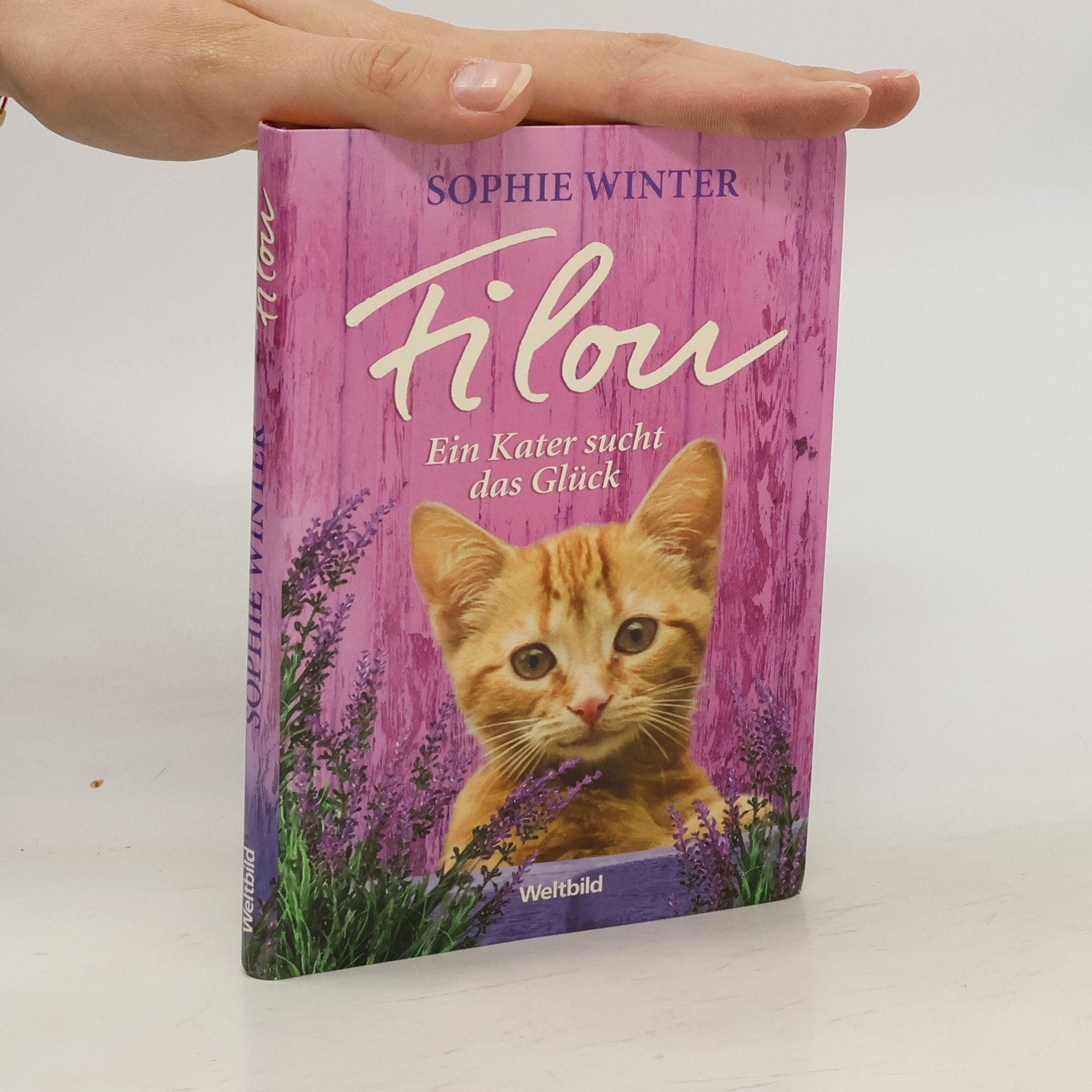 Sophie Winter Filou - ein Kater sucht das Glück