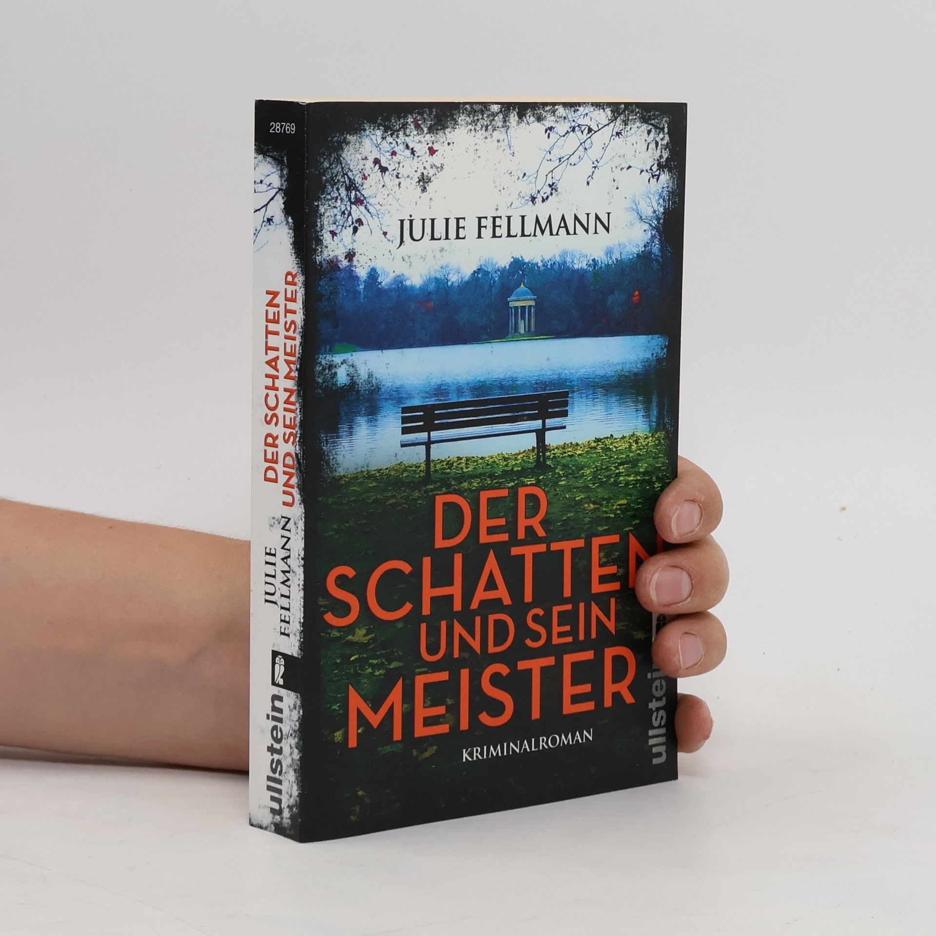 Julie Fellmann Der Schatten und sein Meister