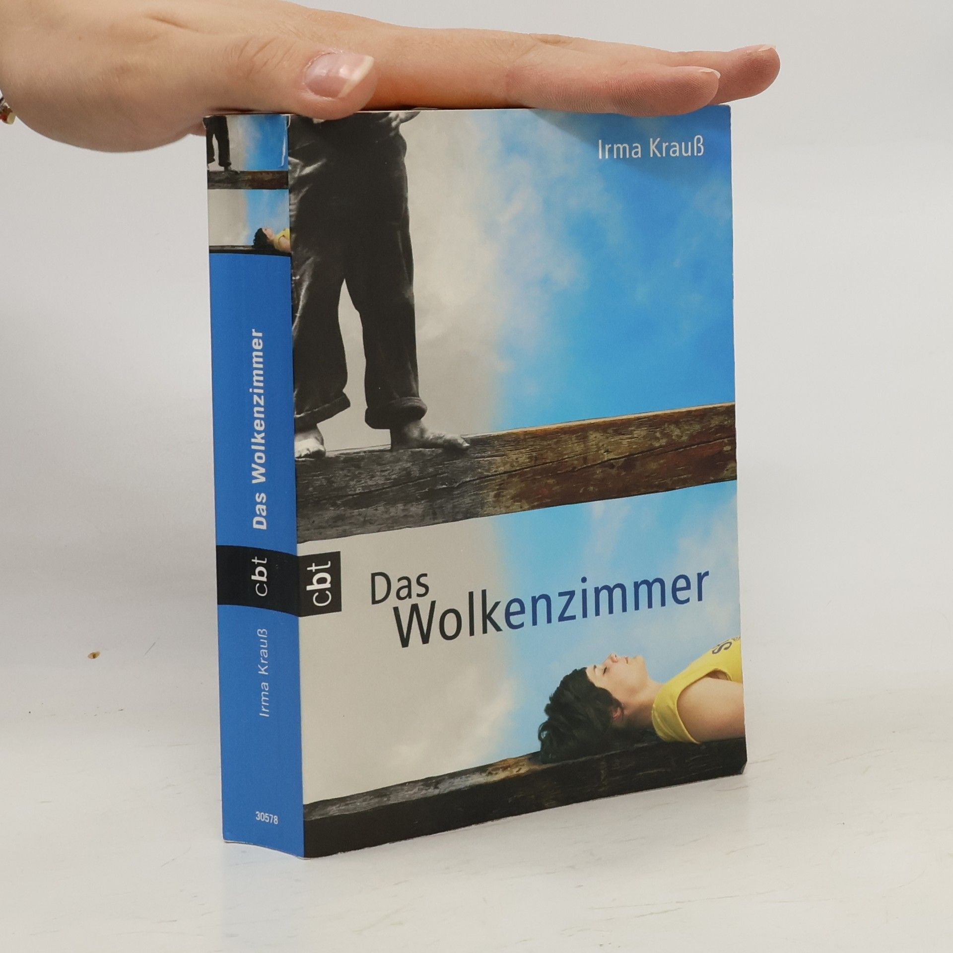 Irma Krauß Das Wolkenzimmer