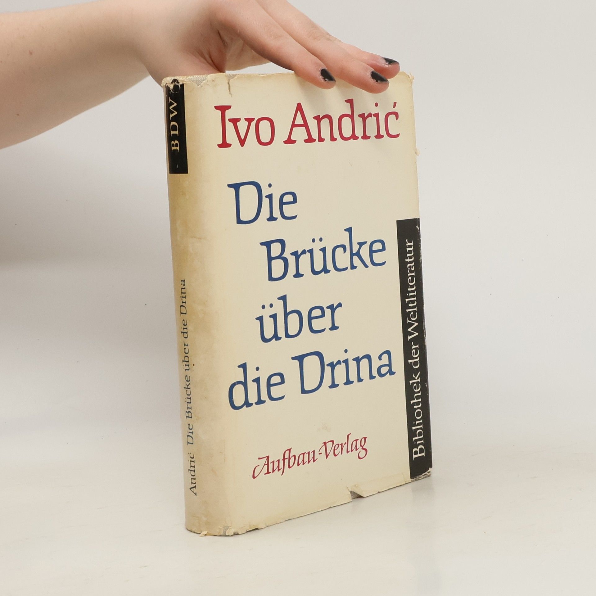 Ivo Andrić Die Brücke über die Drina