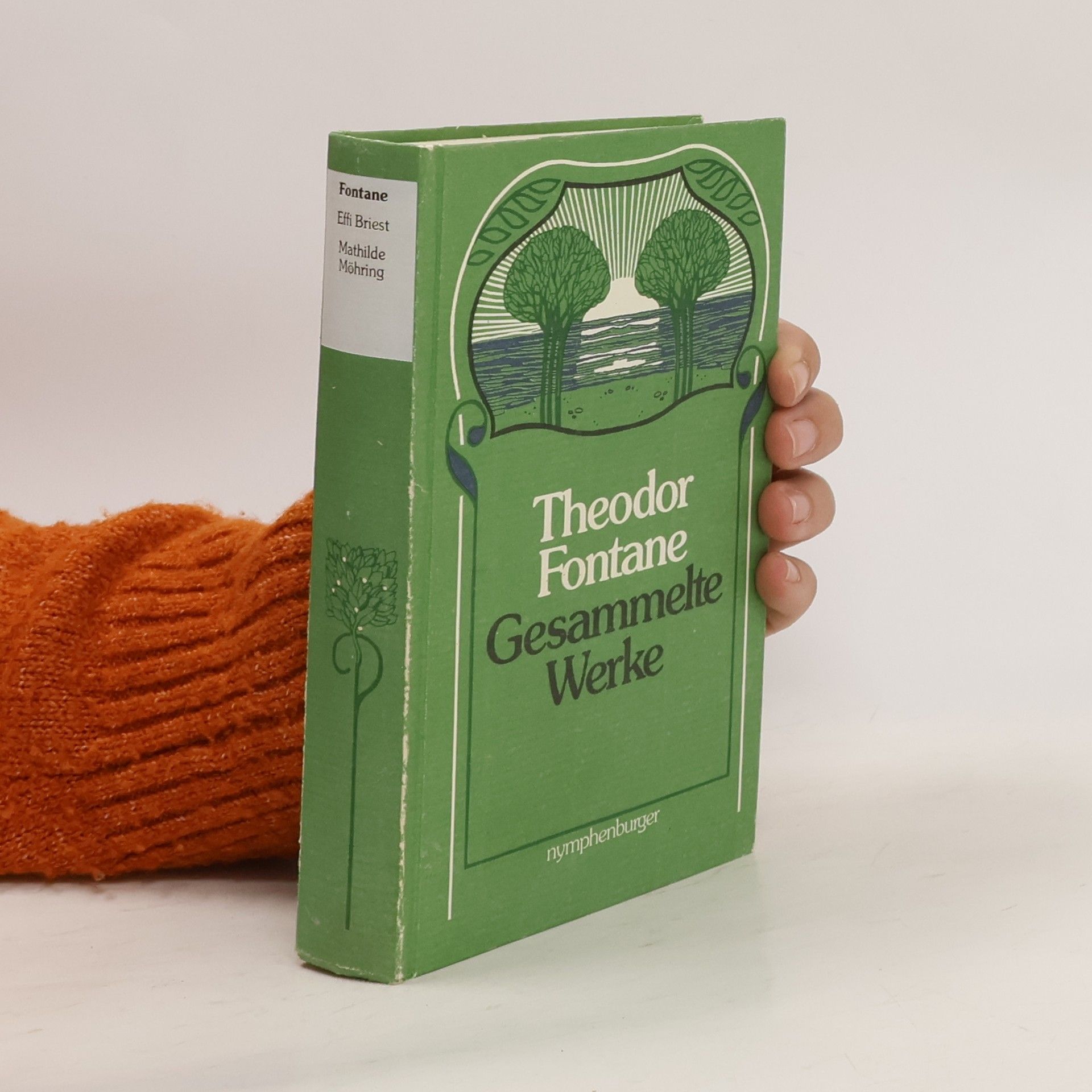 Theodor Fontane Gesammelte Werke
