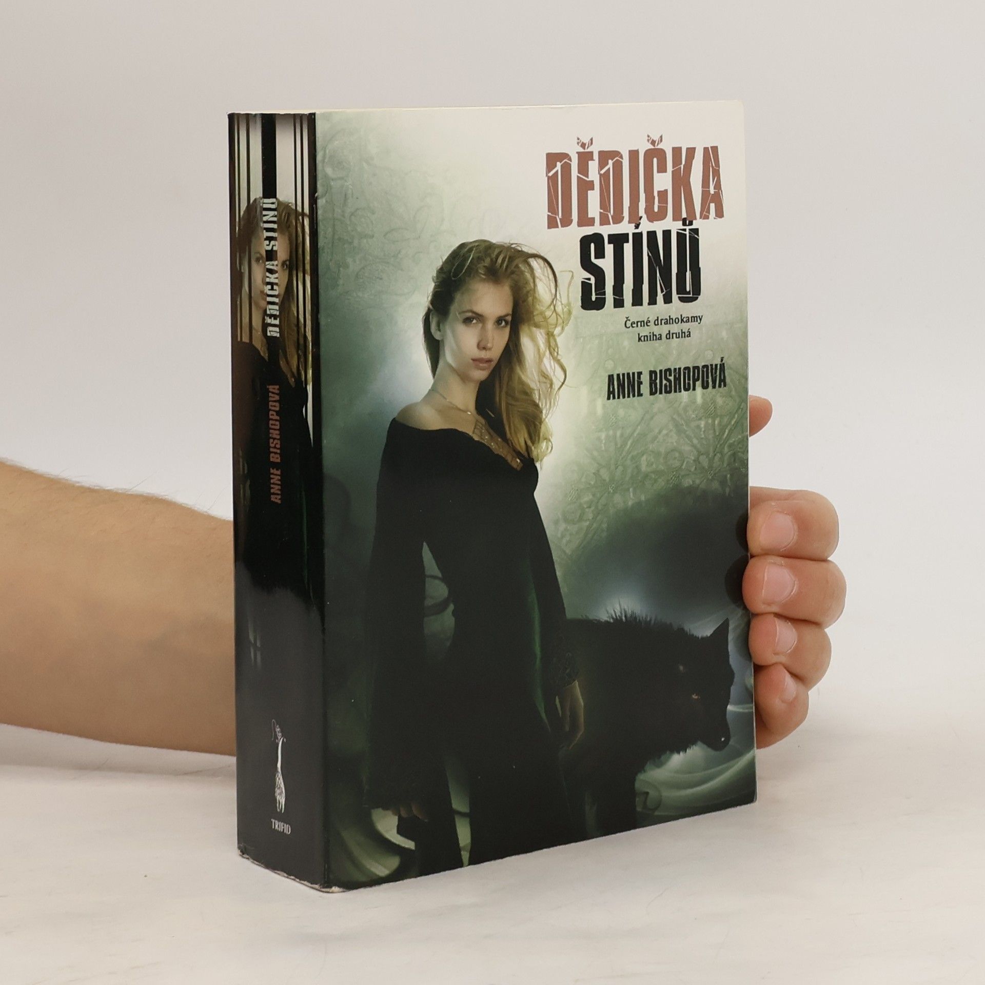Anne Bishop Dědička stínů - Černé drahokamy (2. díl série)