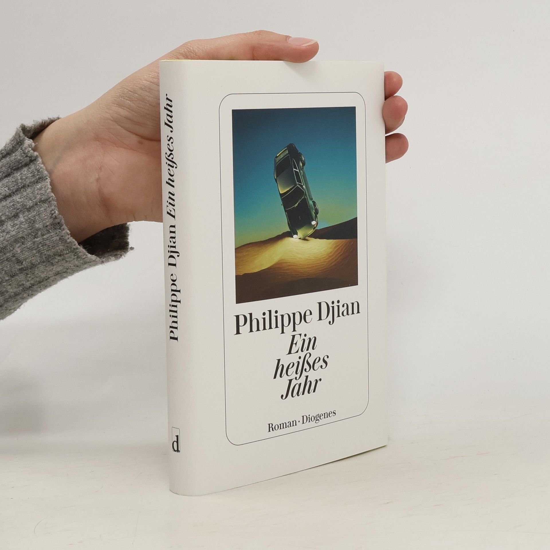 Philippe Djian Ein heißes Jahr