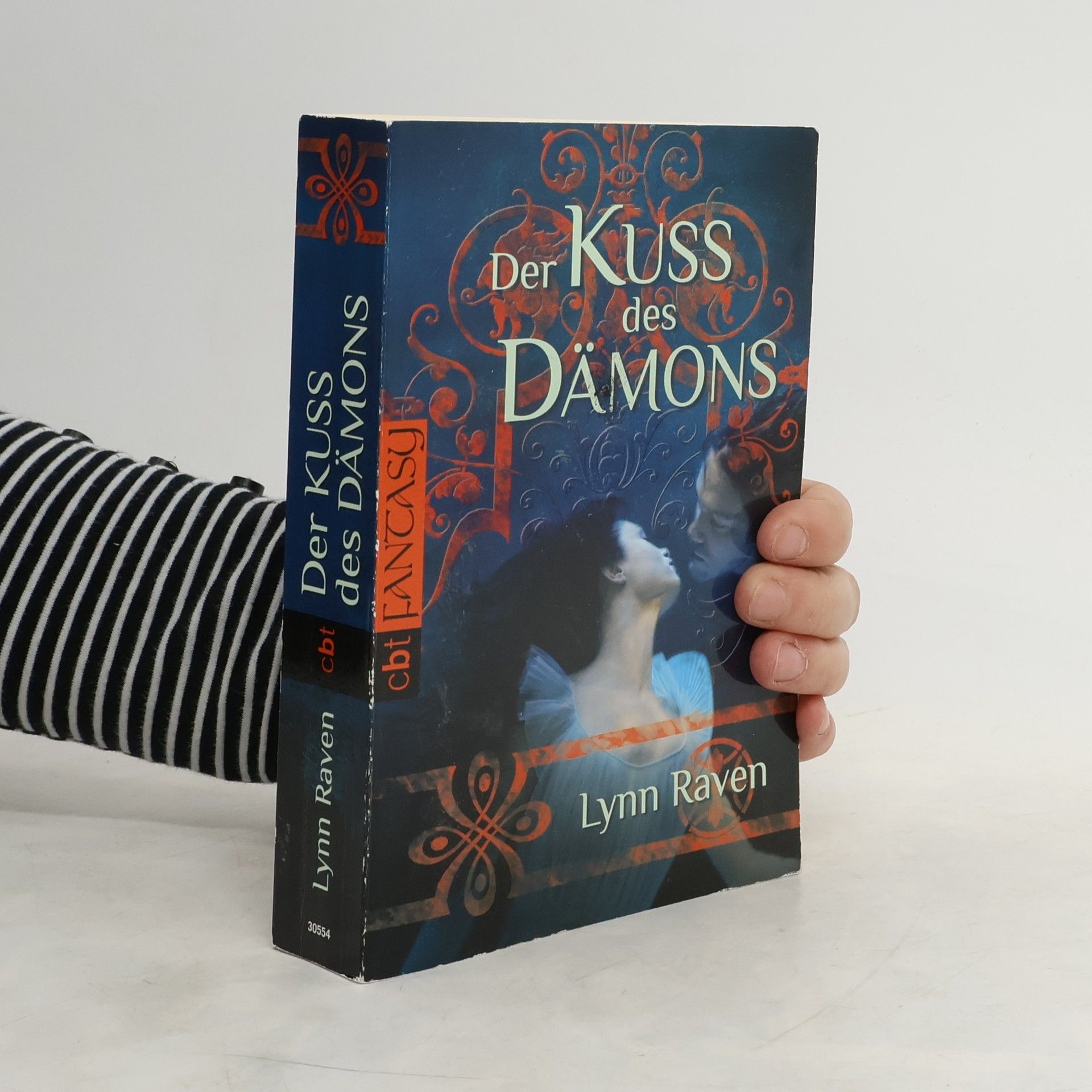 Lynn Raven Der Kuss des Dämons