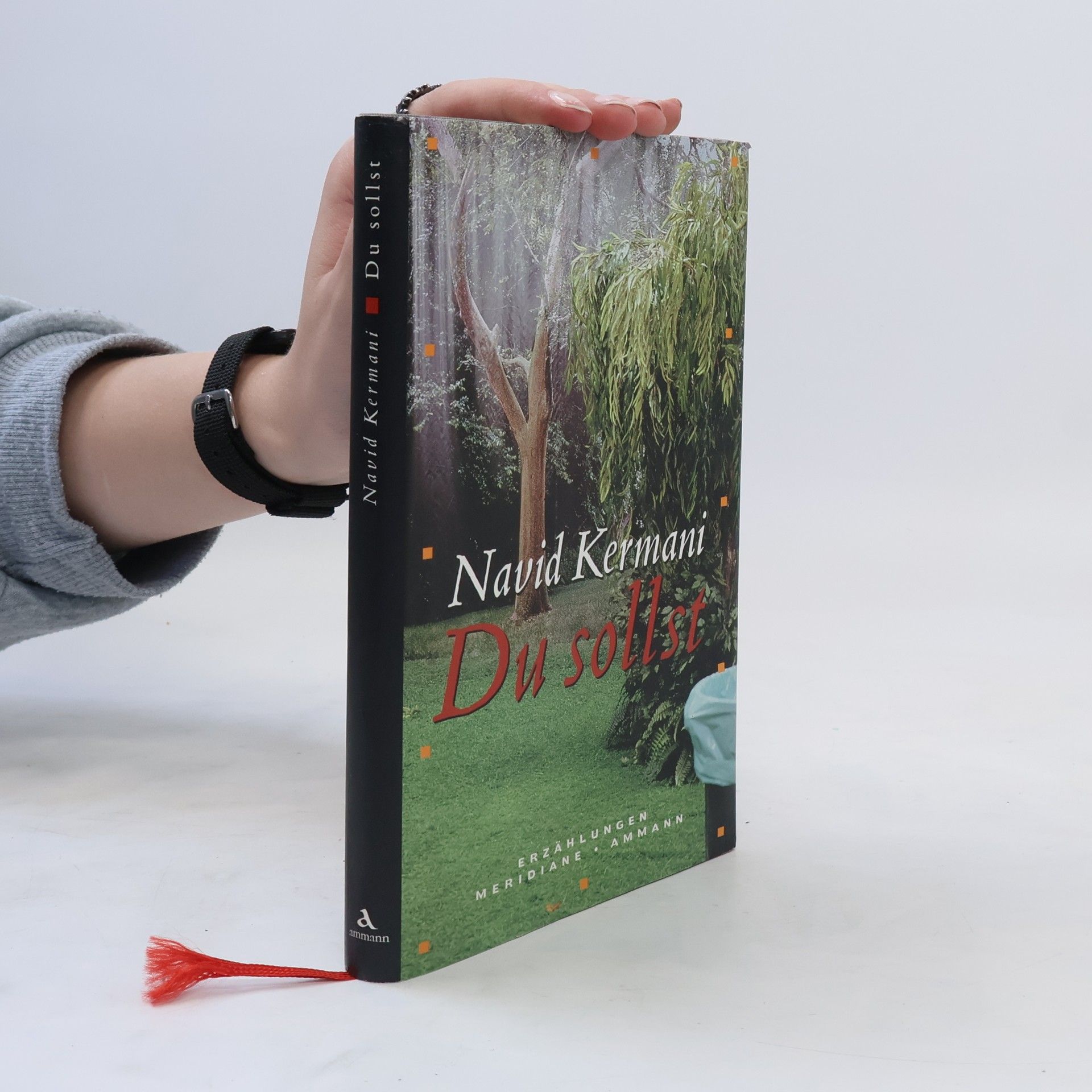 Navid Kermani Du sollst
