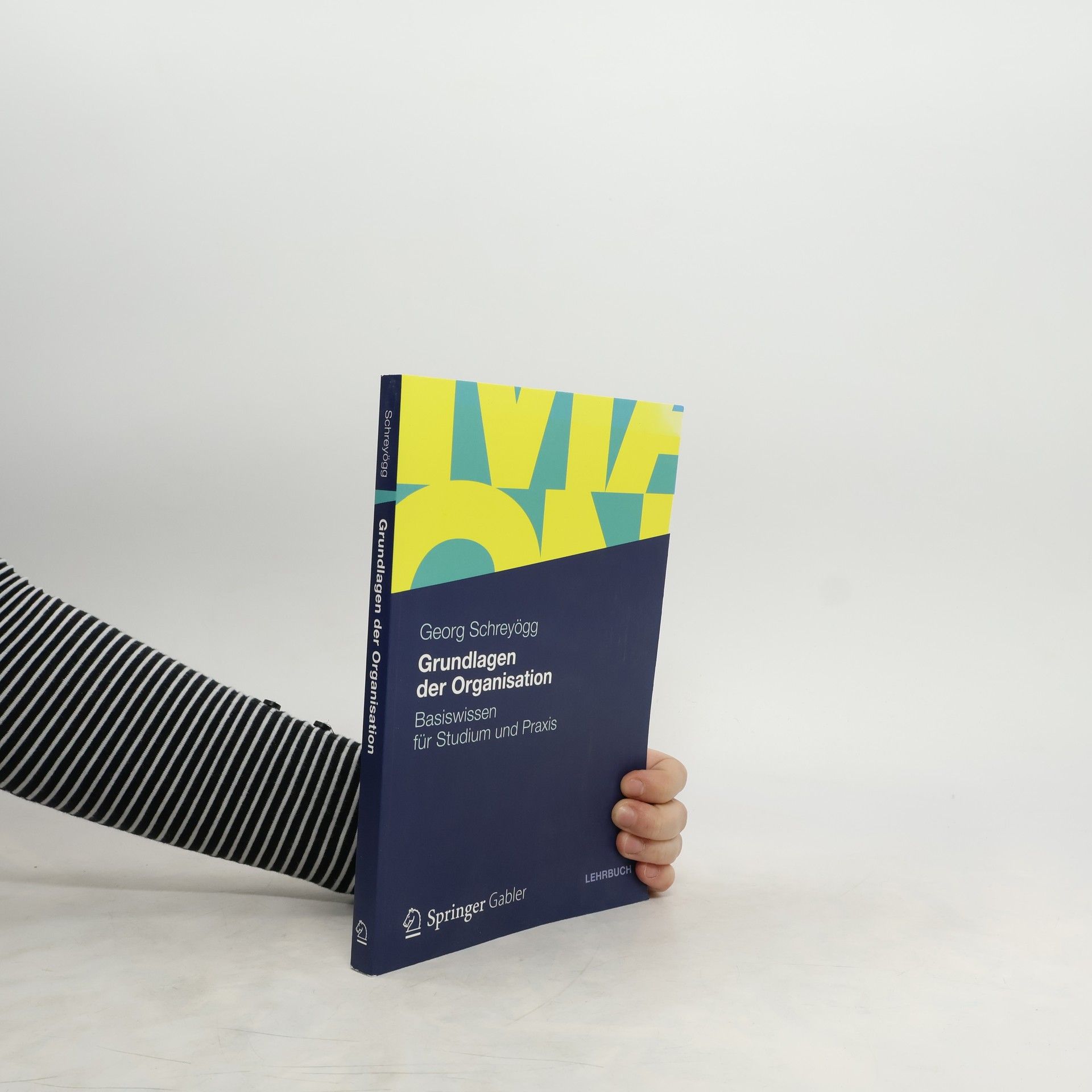 Georg Schreyögg Grundlagen der Organisation