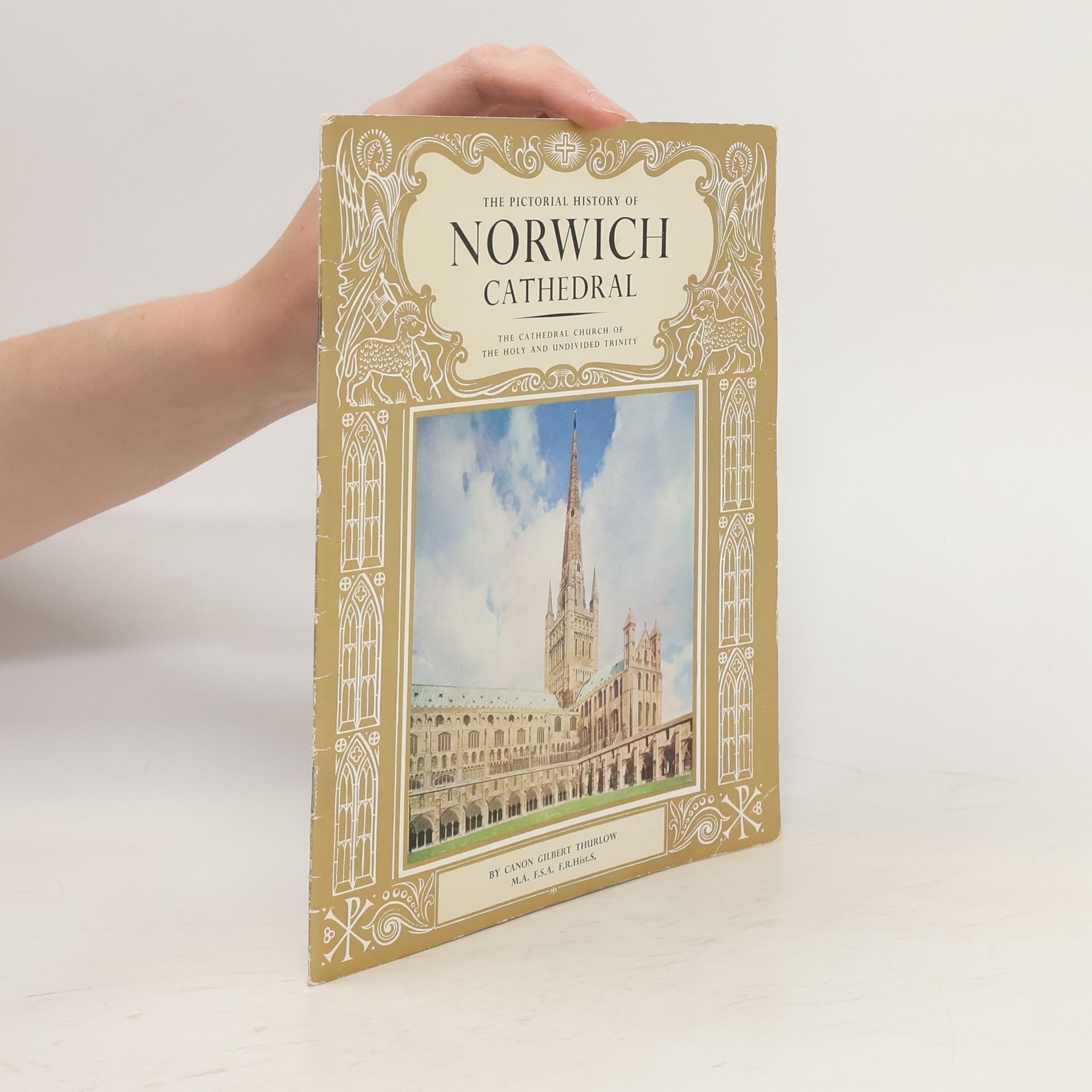 Collectif d'auteurs The Pictorial History of Norwich Cathedral