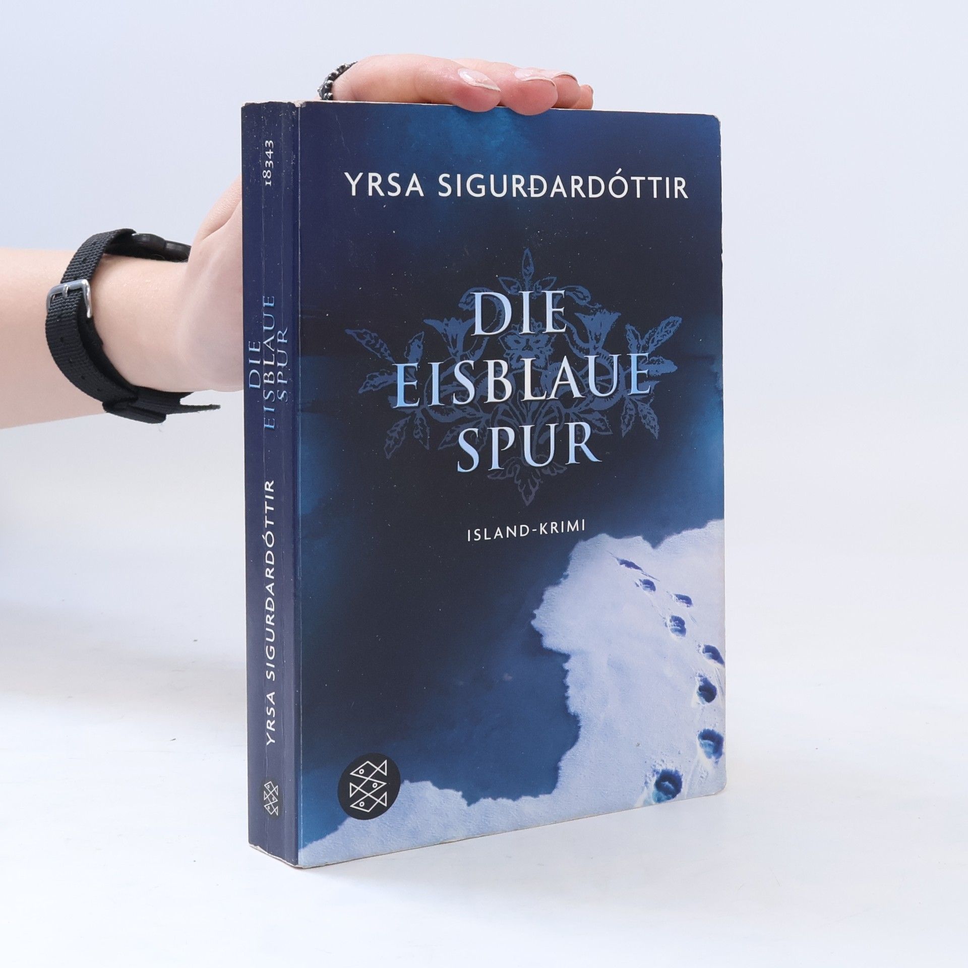 Yrsa Sigurðardóttir Die eisblaue Spur