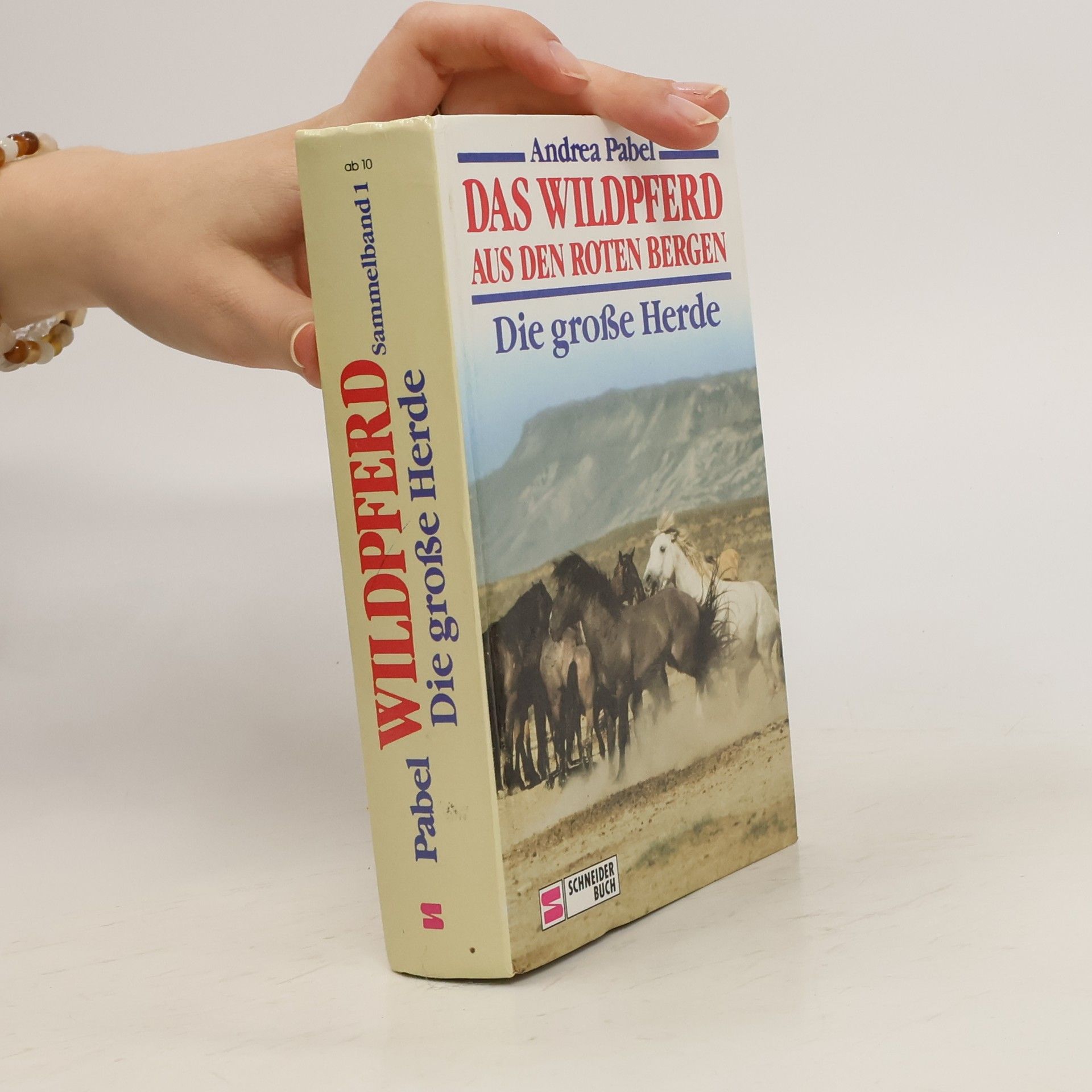 Andrea Pabel Die große Herde. Der Kampf mit dem Cojoten; Der Ritt durch die Schlucht; El Moro und seine Herde