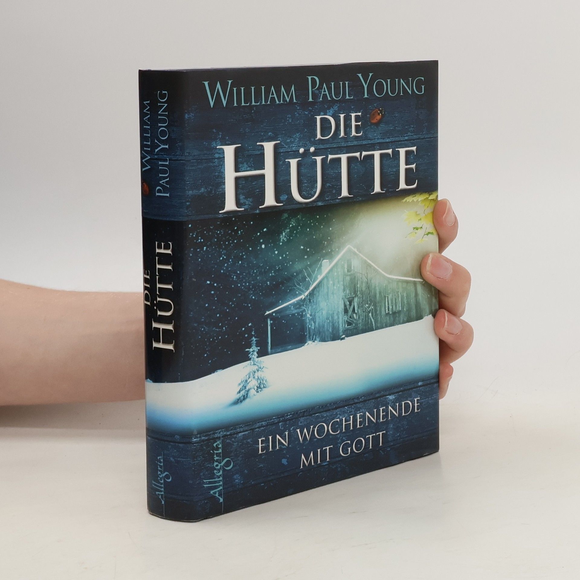 William P. Young Die Hütte