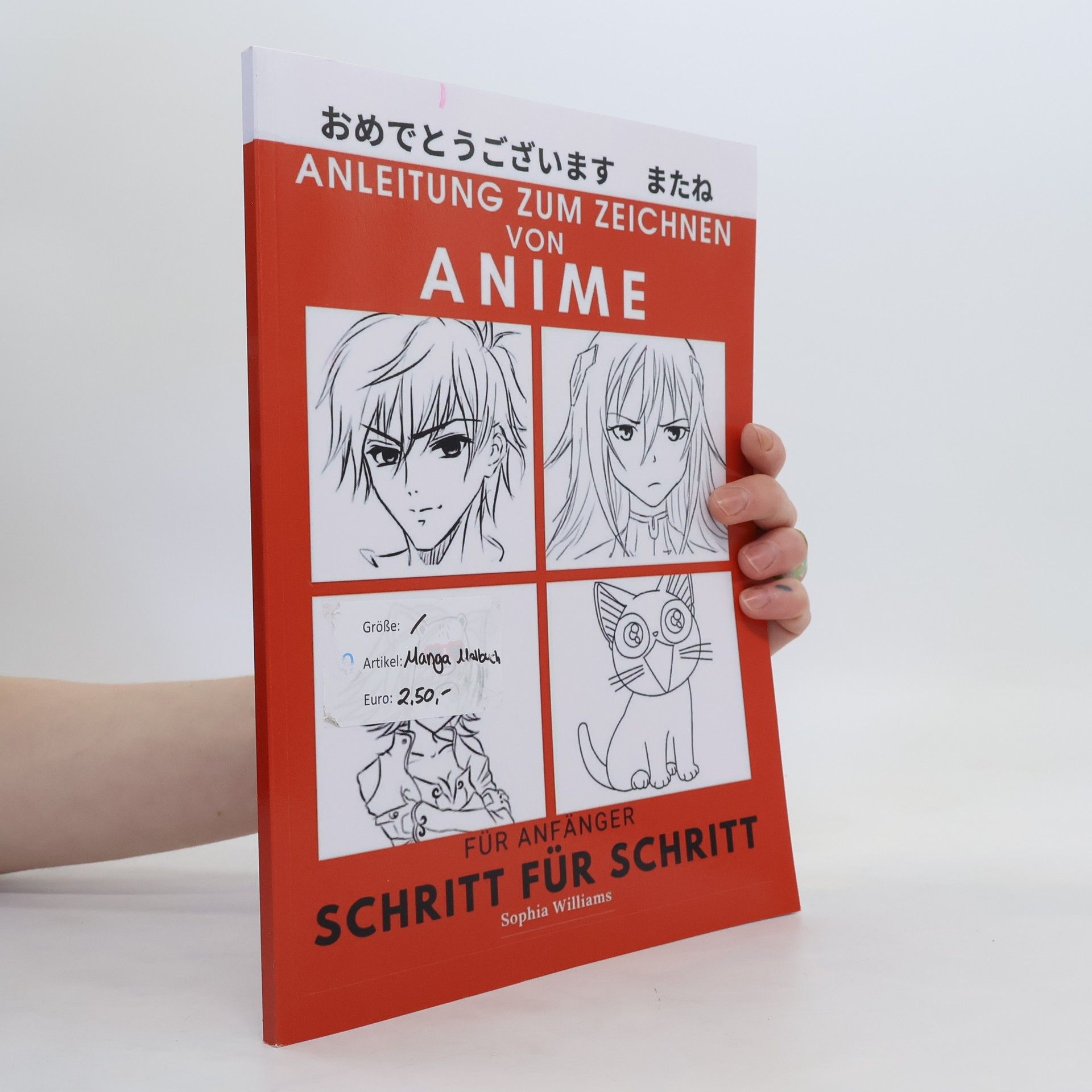 Anleitung zum Zeichnen von Anime für Anfänger Schritt für Schritt