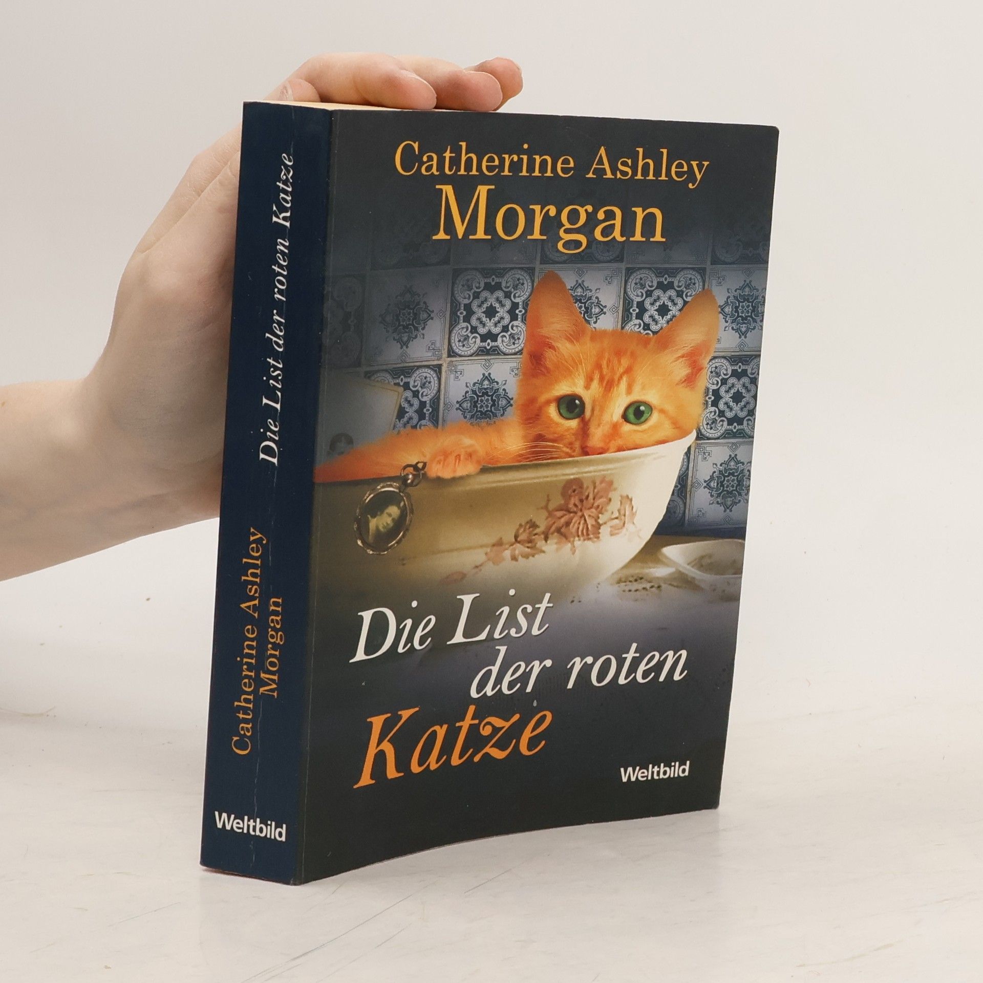 Catherine Ashley Morgan Die List der roten Katze