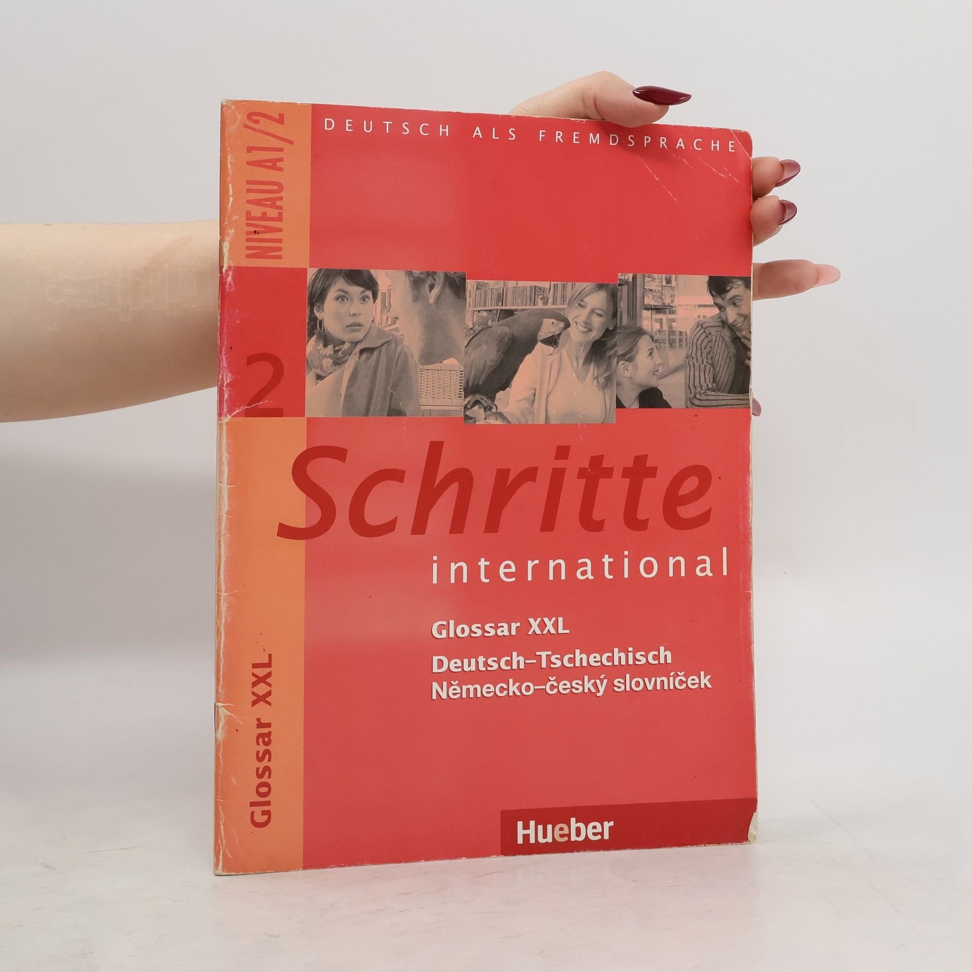 Daniela Niebisch Schritte international Glosar XXL - CZ
