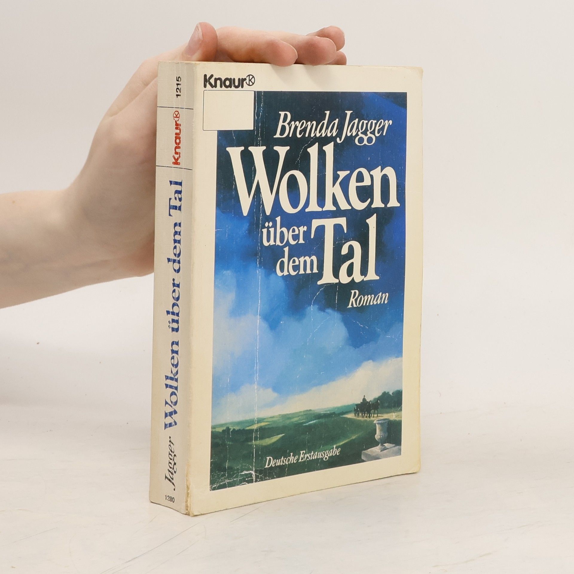 Brenda Jagger Wolken über dem Tal