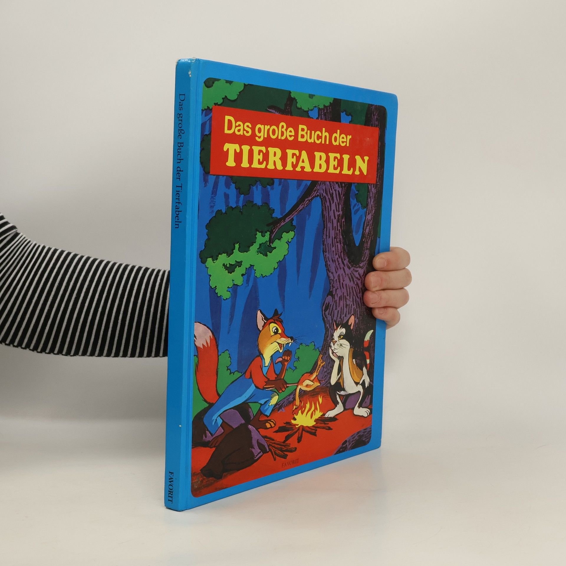 Collectif d'auteurs Das große Buch der Tierfabeln
