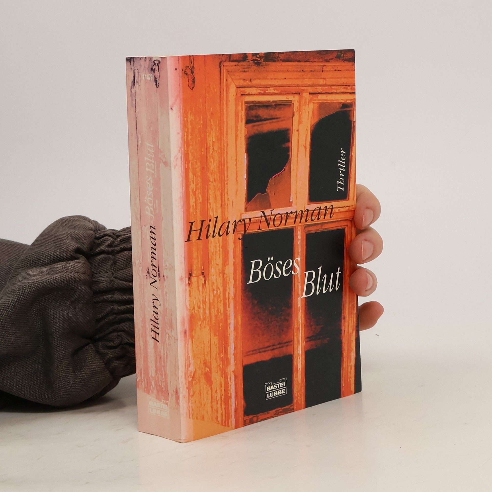 Hilary Norman Böses Blut