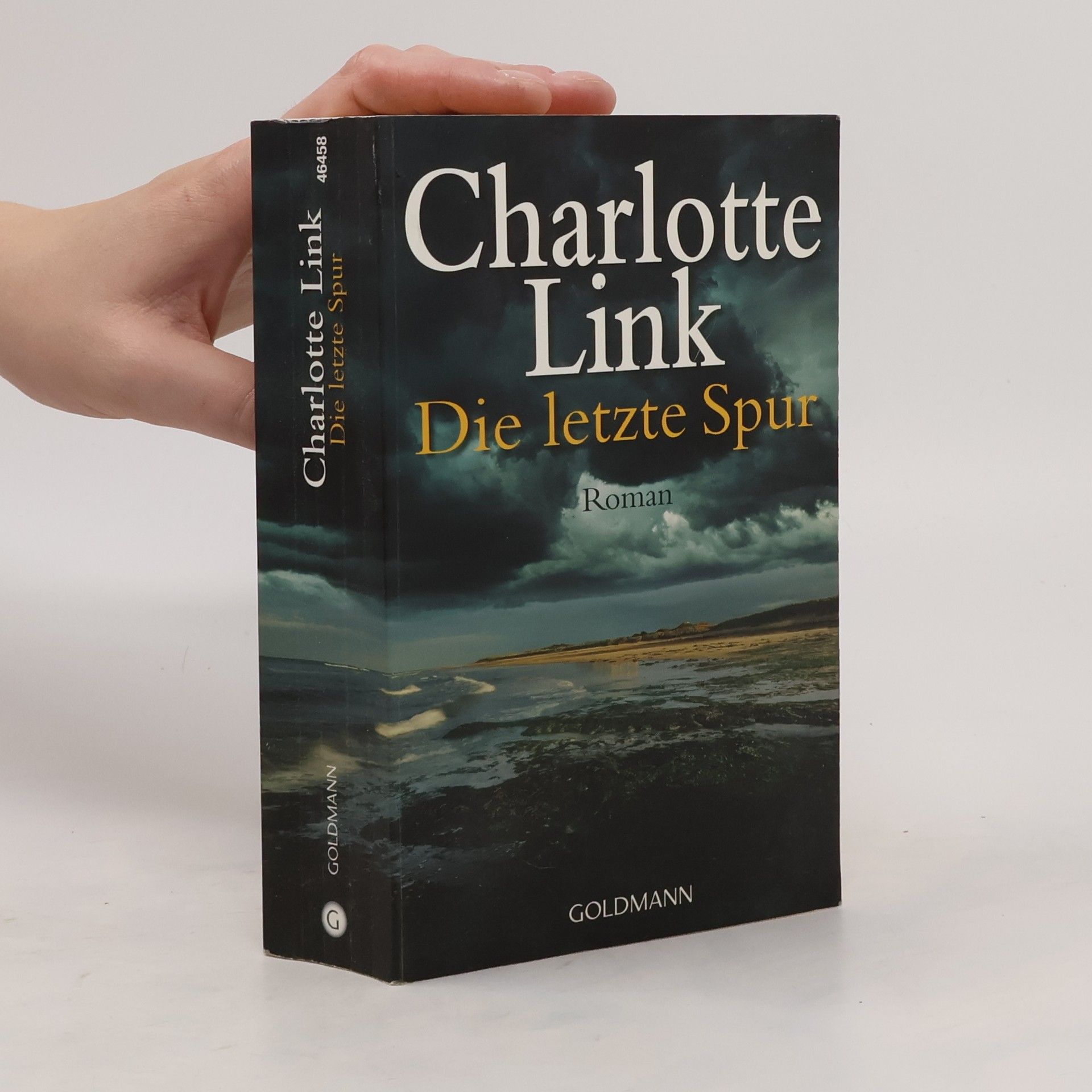 Charlotte Link Die letzte Spur