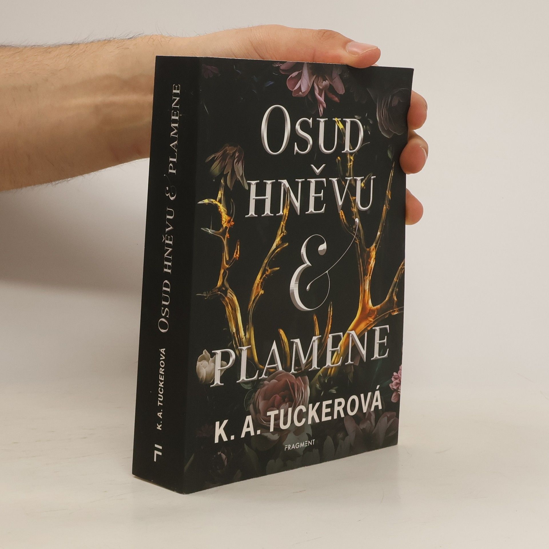K.A. Tucker Osud hněvu & plamene