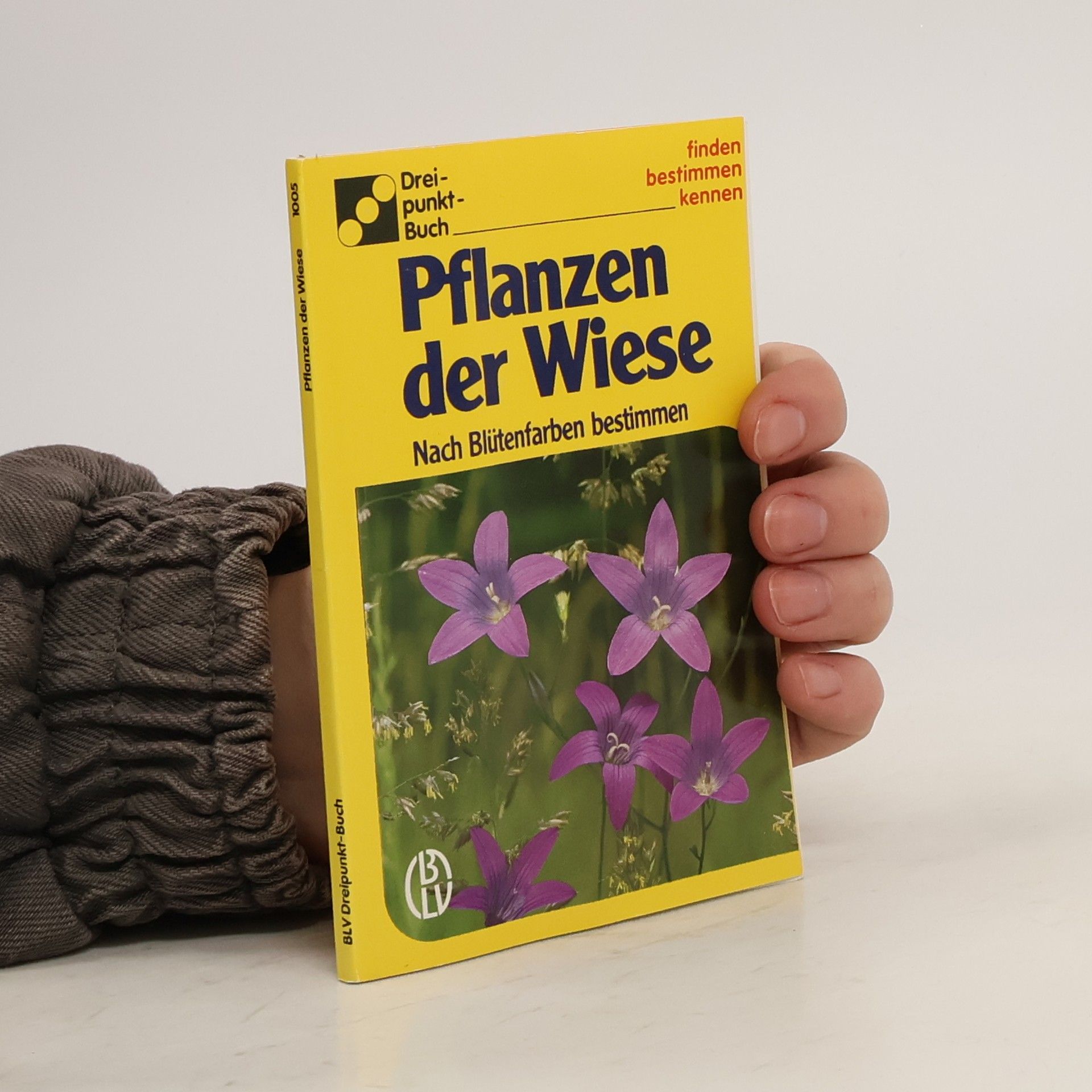 Alfred Handel Pflanzen der Wiese