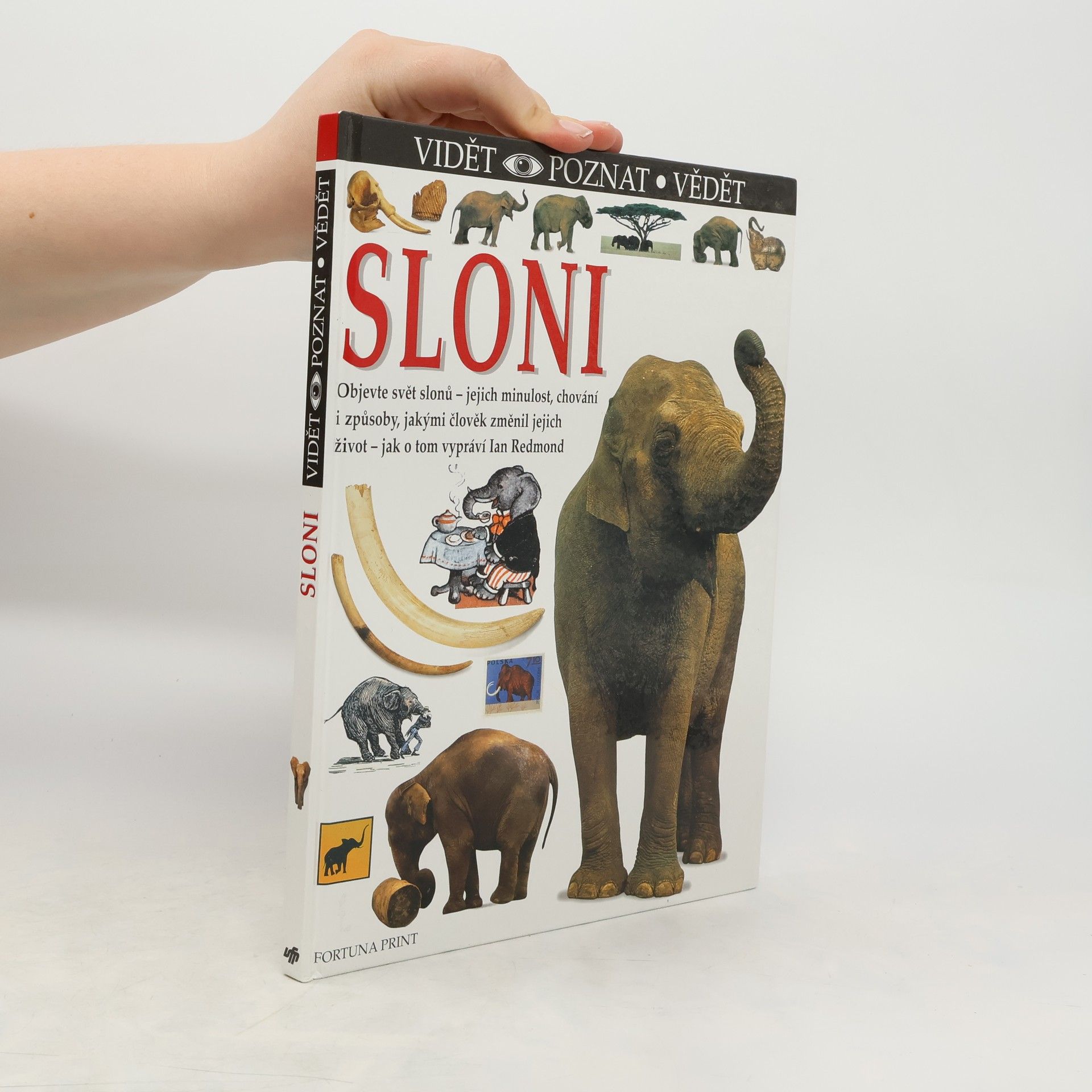 Ian Redmond Sloni
