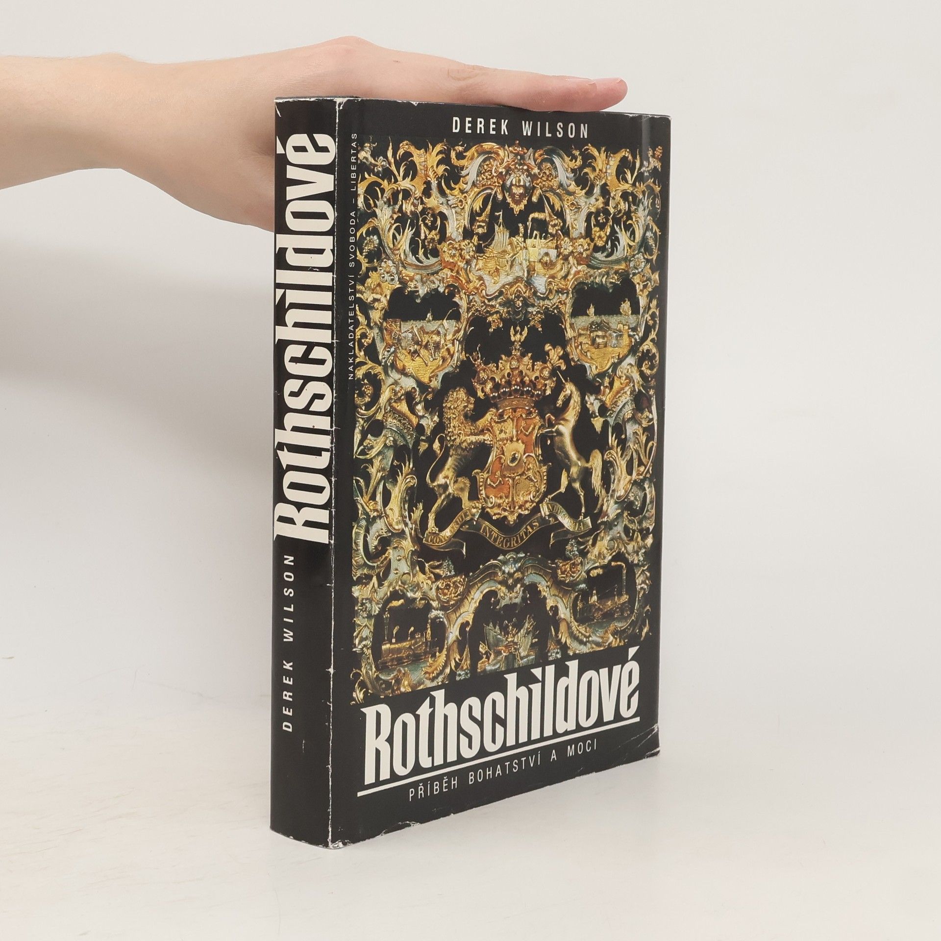 Derek A. Wilson Rothschildové. Příběh bohatství a moci