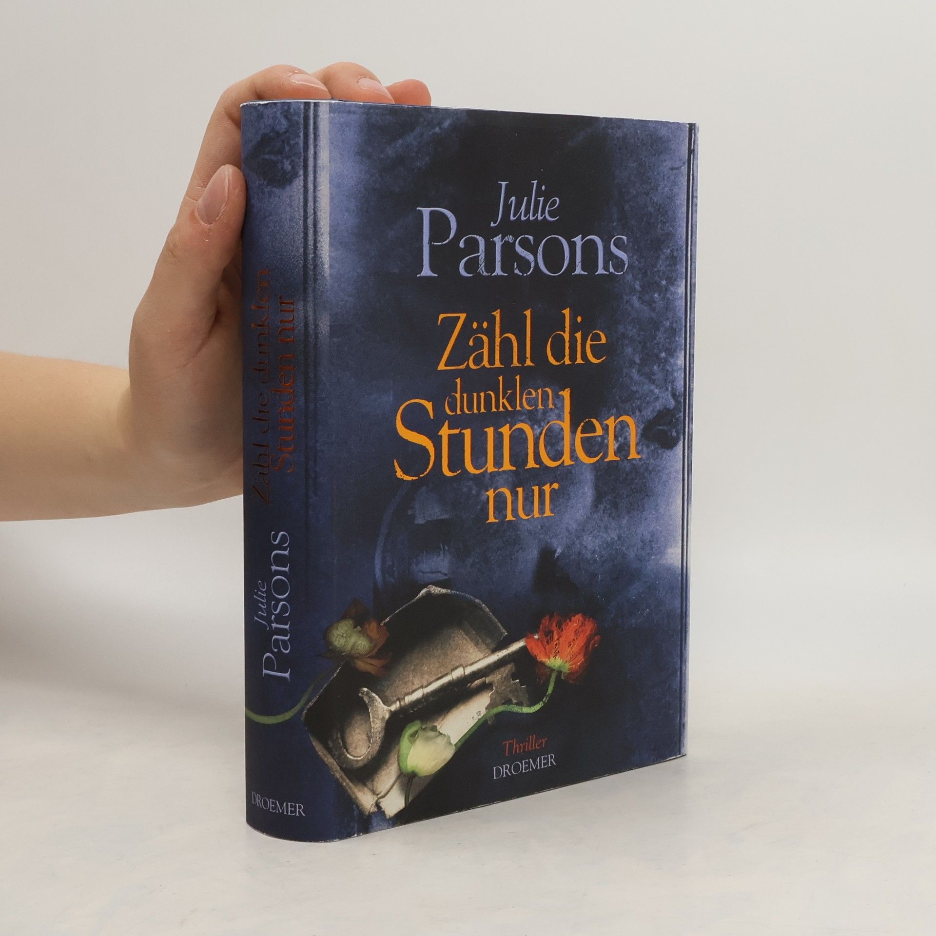 Julie Parsons Zähl die dunklen Stunden nur
