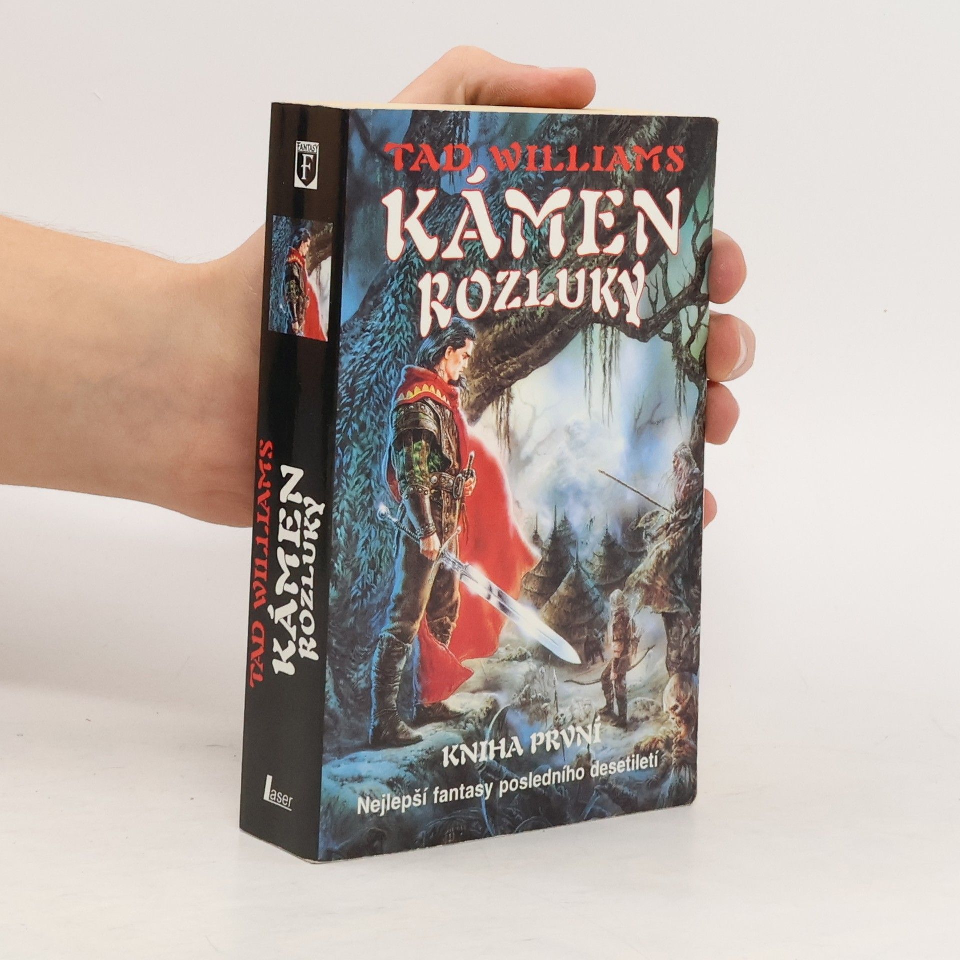 Tad Williams Kámen rozluky. Kniha první.