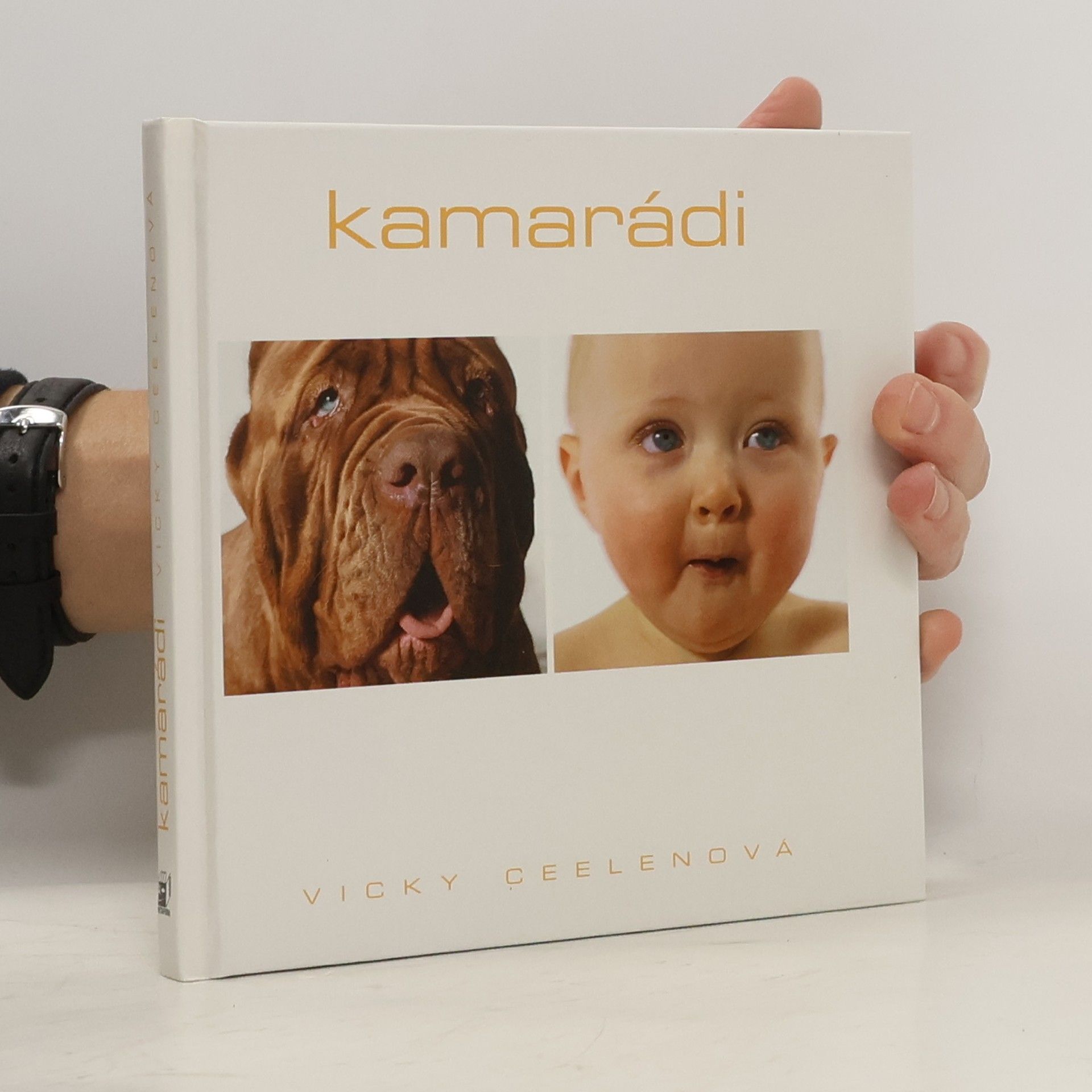 Vicky Ceelen Kamarádi