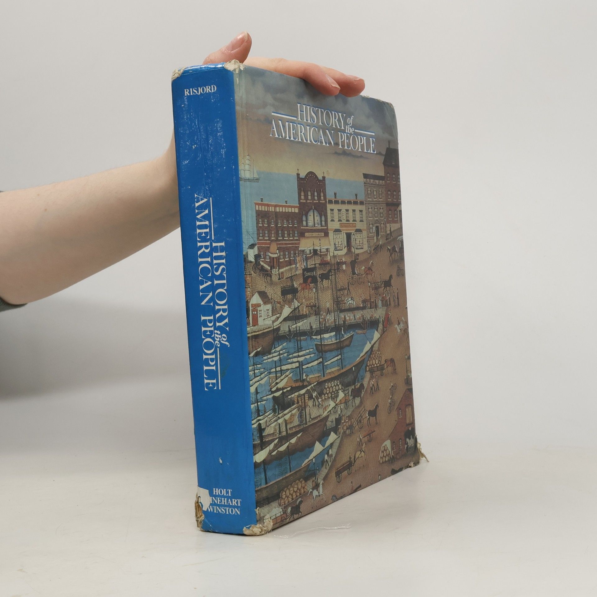 Norman K. Risjord History of the American People