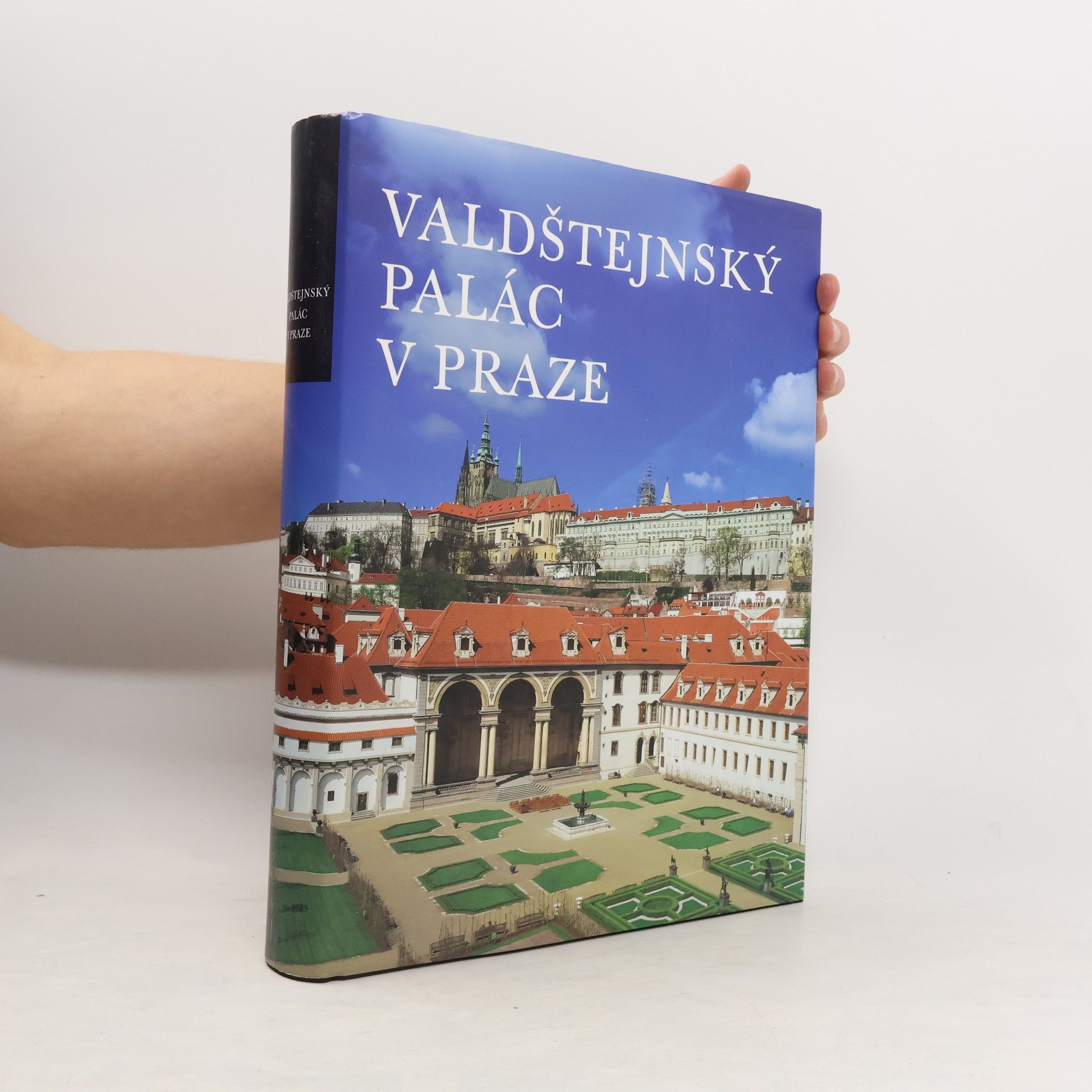 Mojmír Horyna Valdštejnský palác v Praze