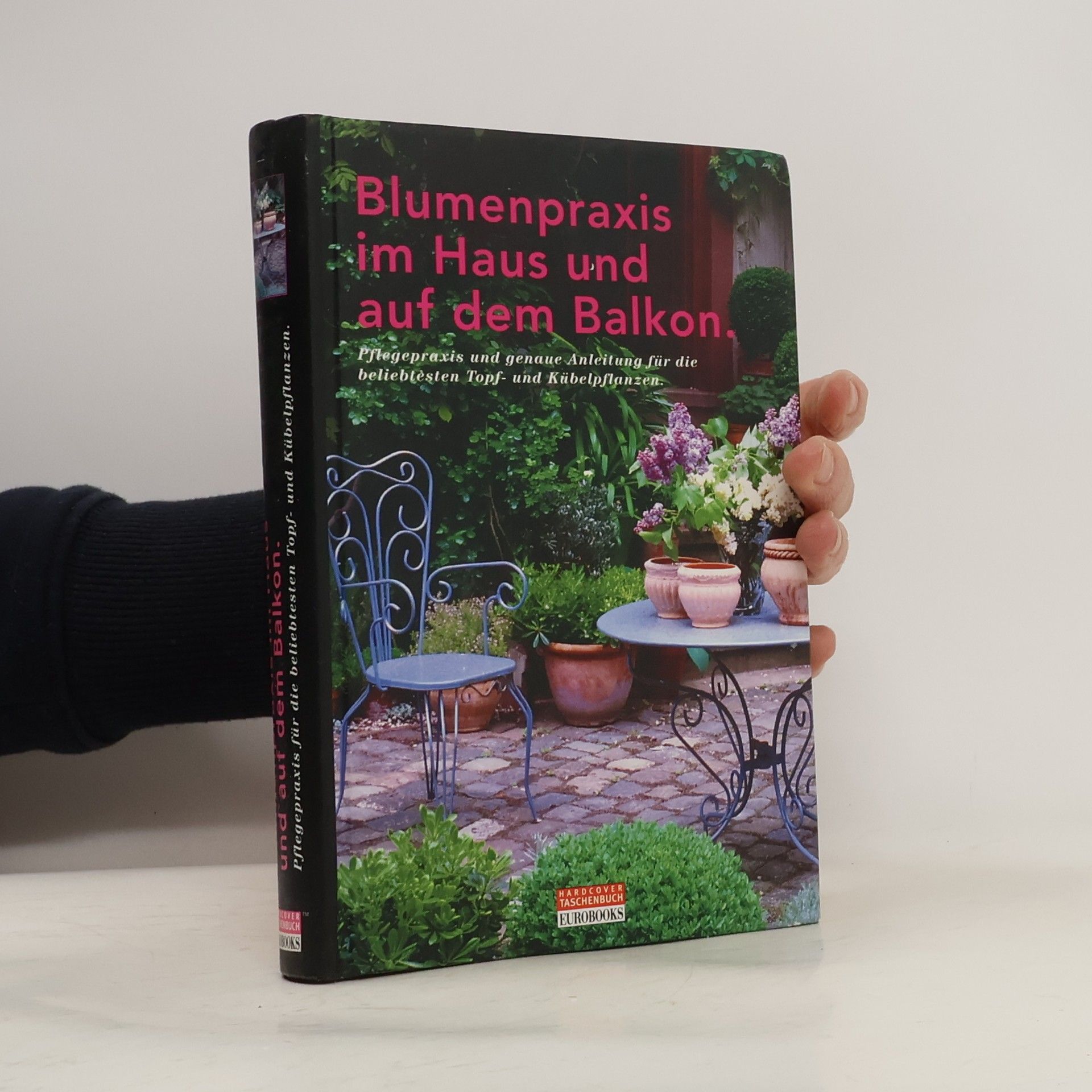 Collective Blumenpraxis im Haus und auf dem Balkon