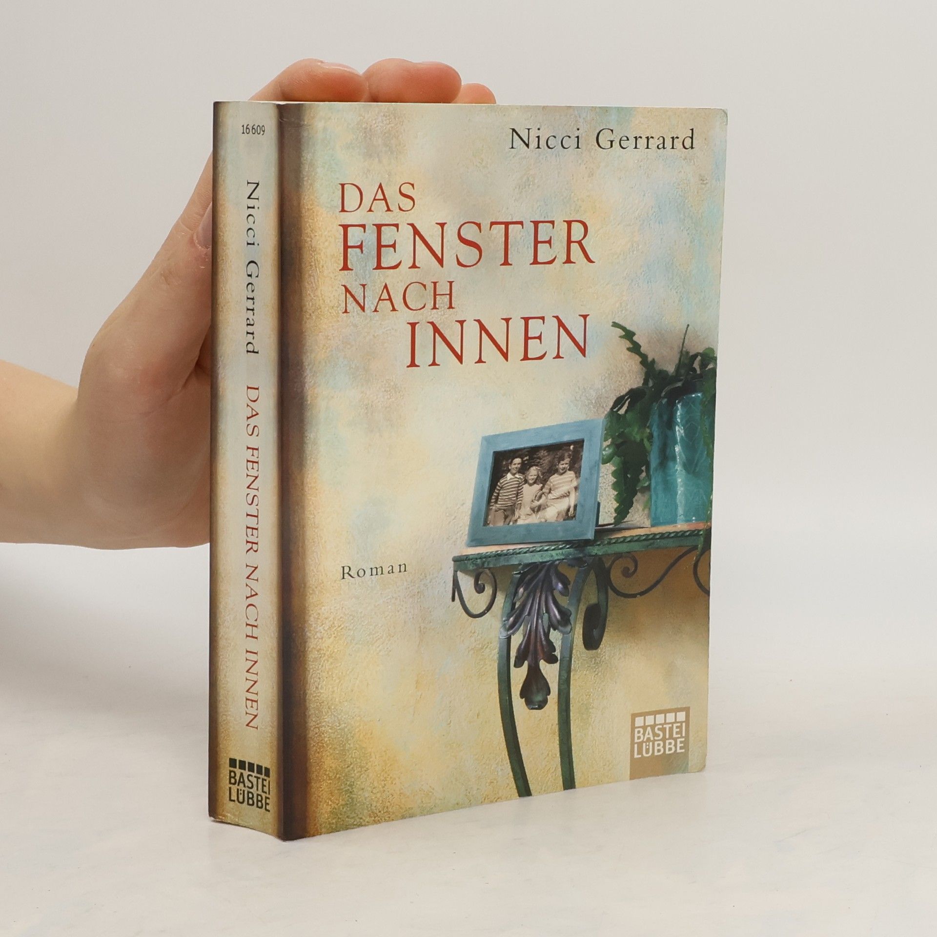 Nicci Gerrard Das Fenster nach innen
